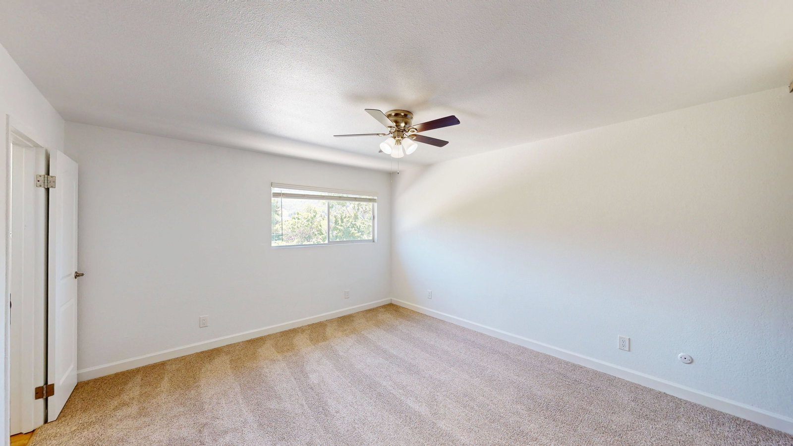 Gallery Image 19
