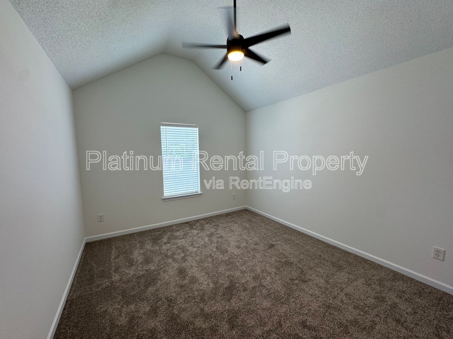 Gallery Image 29