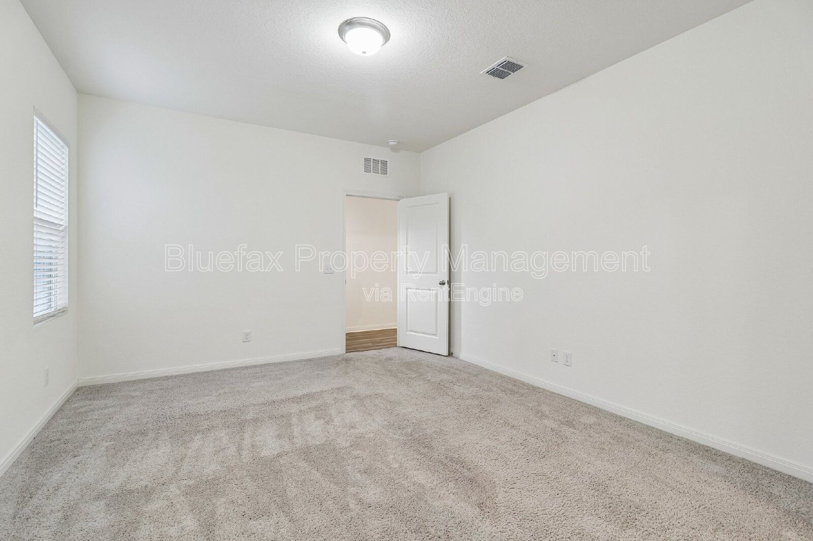 Gallery Image 19