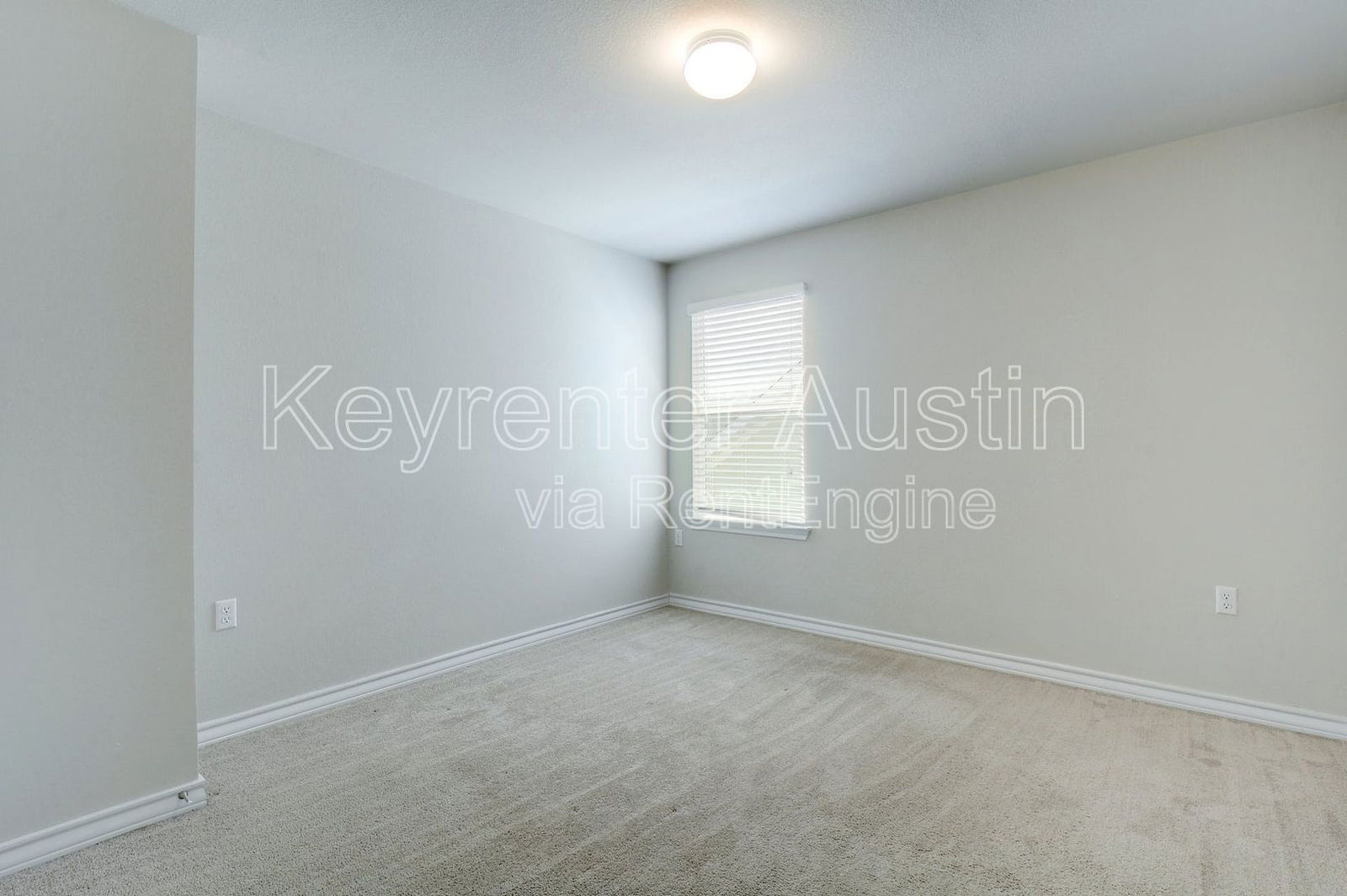Gallery Image 19