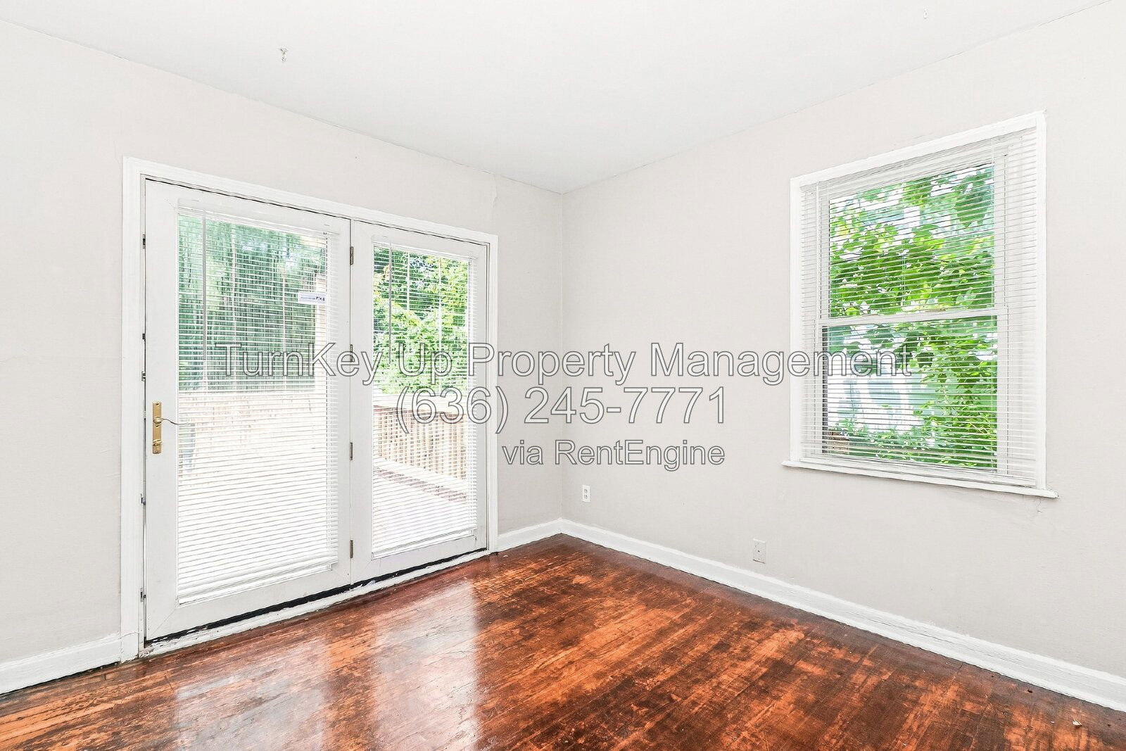 Gallery Image 7