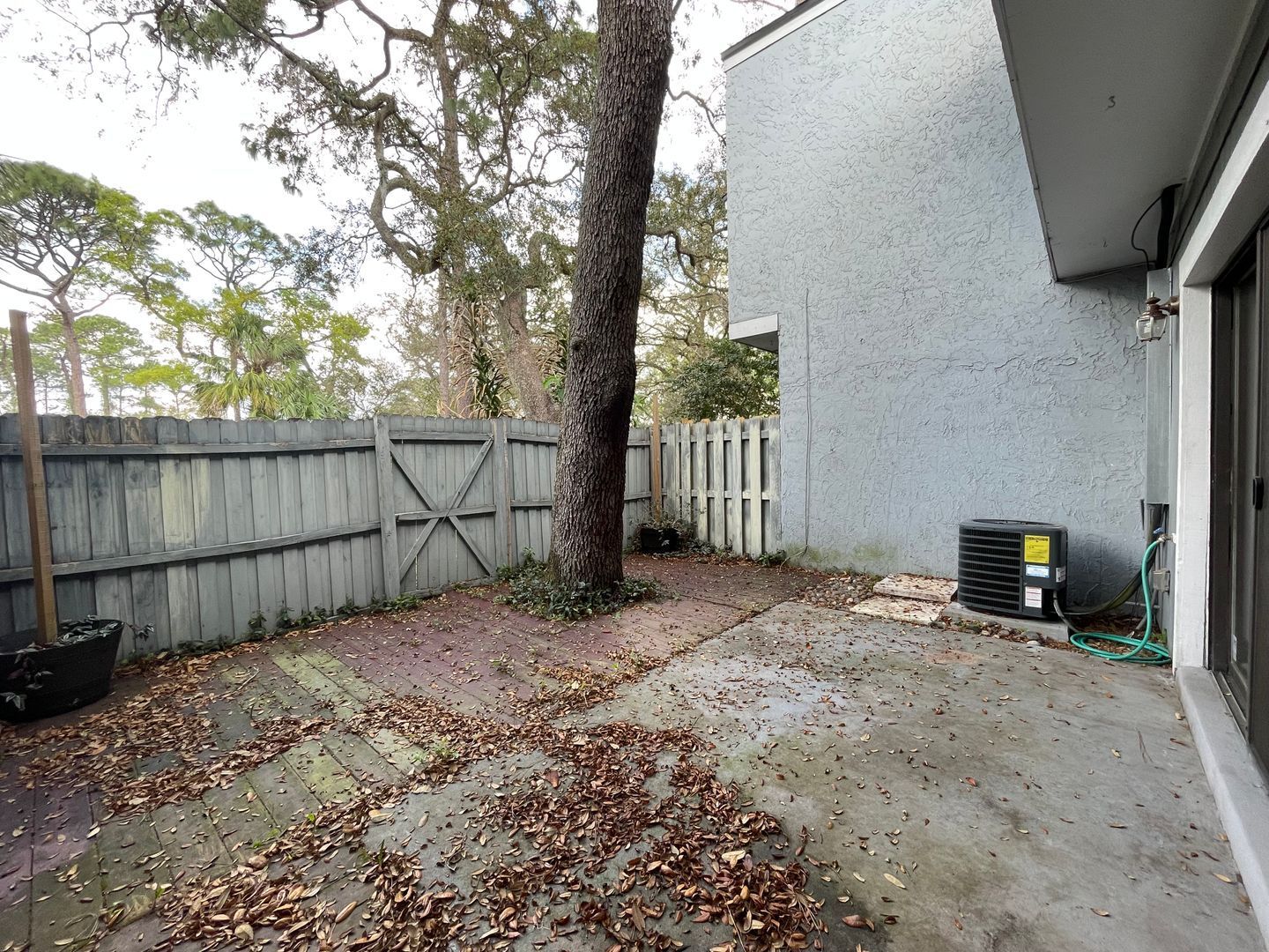 Gallery Image 11