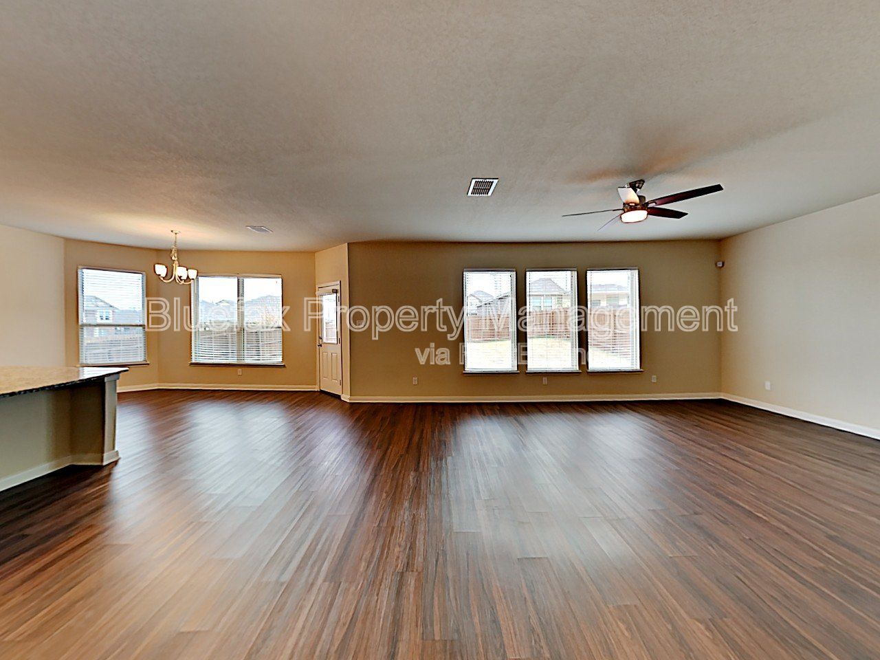 Gallery Image 20