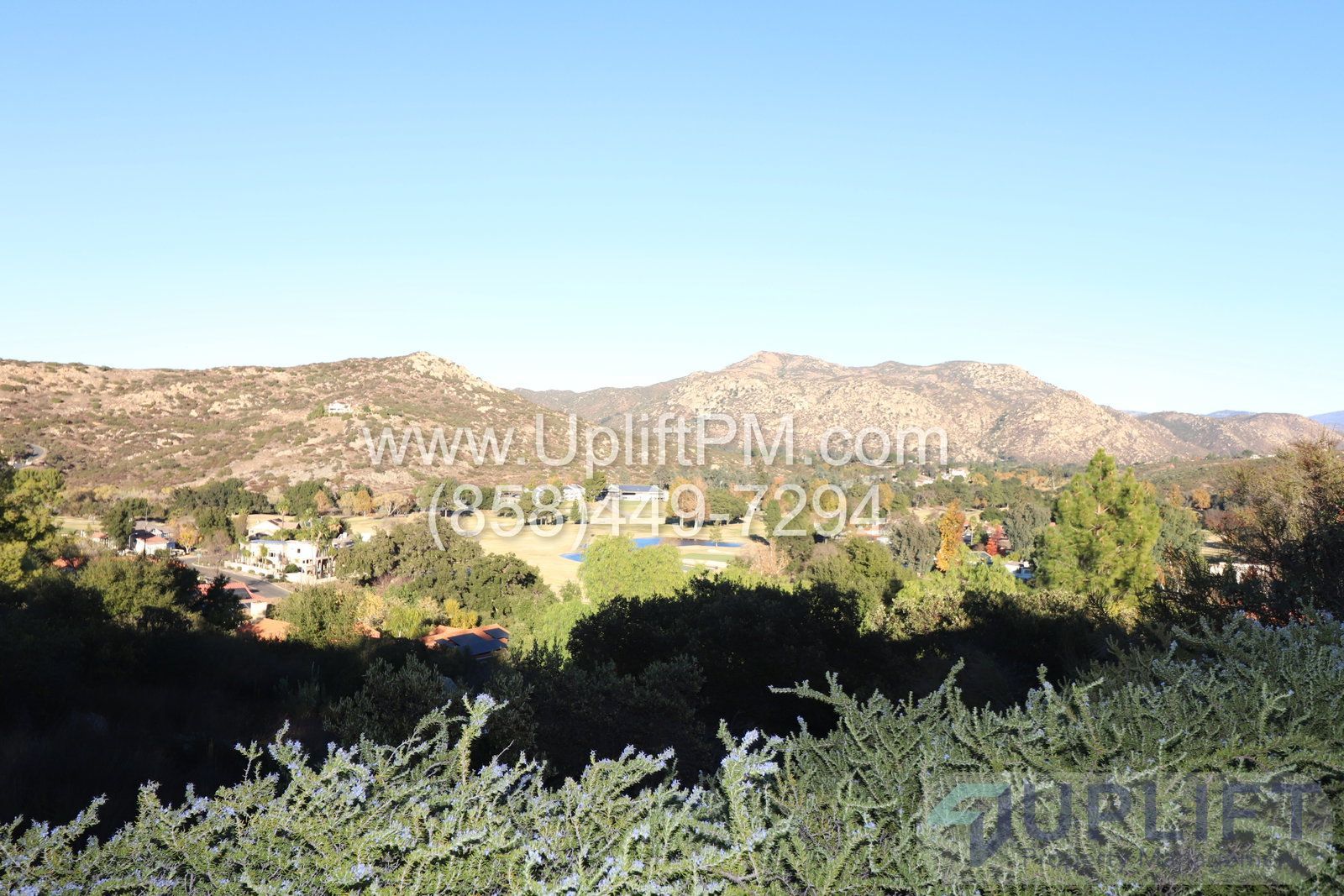 Gallery Image 21
