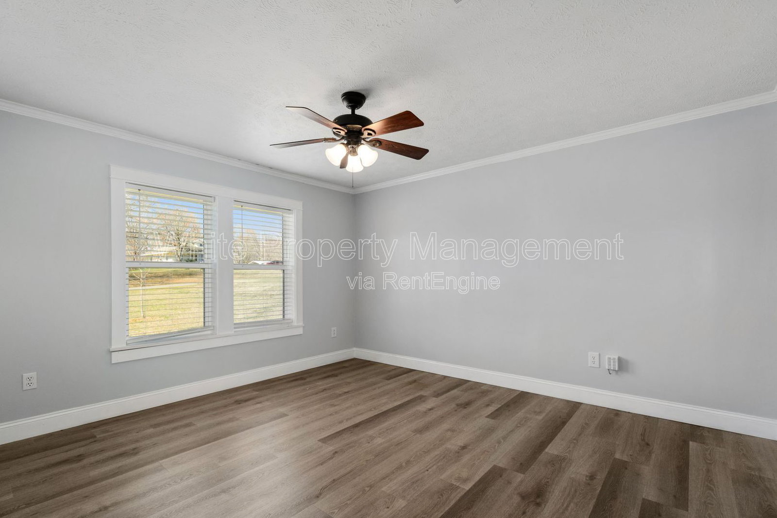 Gallery Image 17