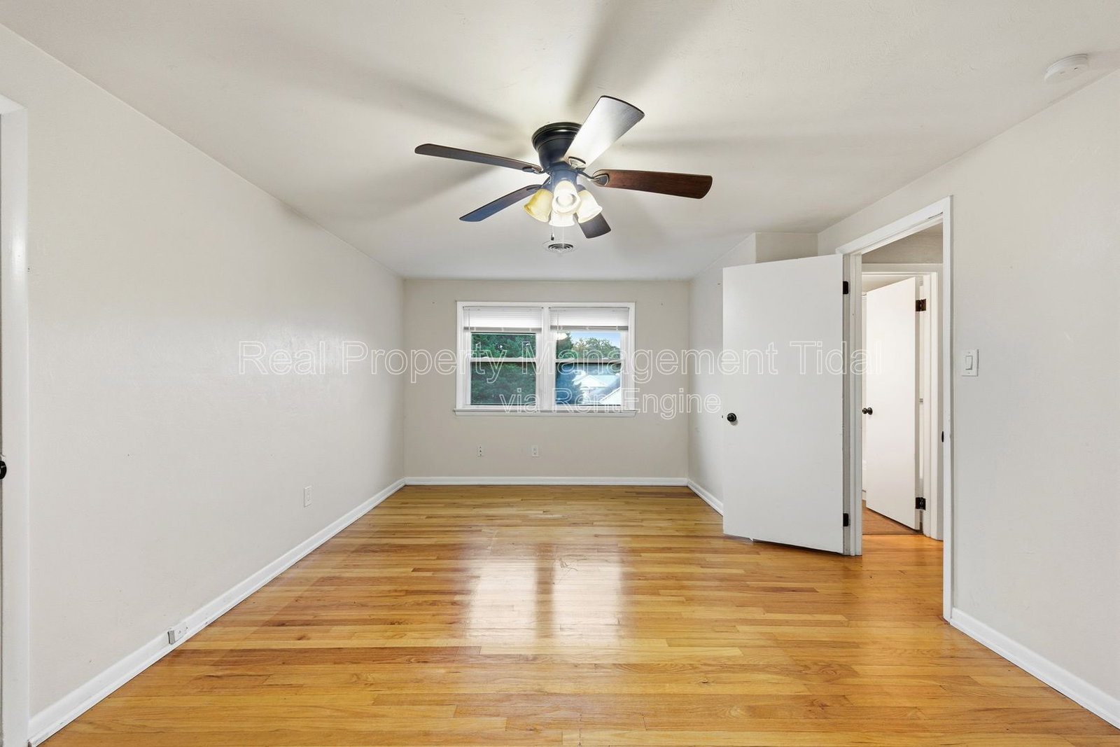 Gallery Image 38