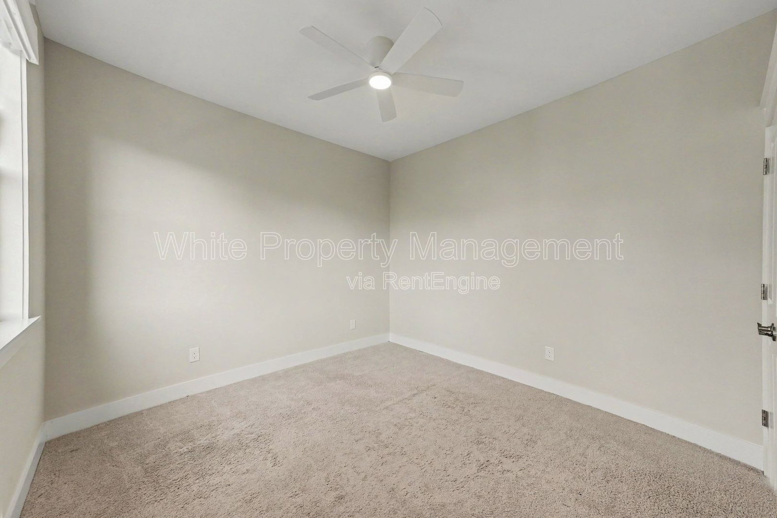 Gallery Image 19