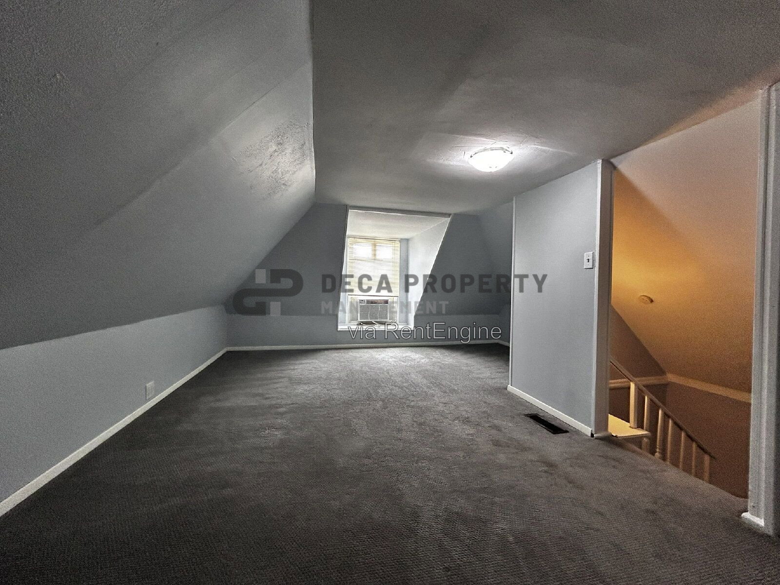 Gallery Image 19