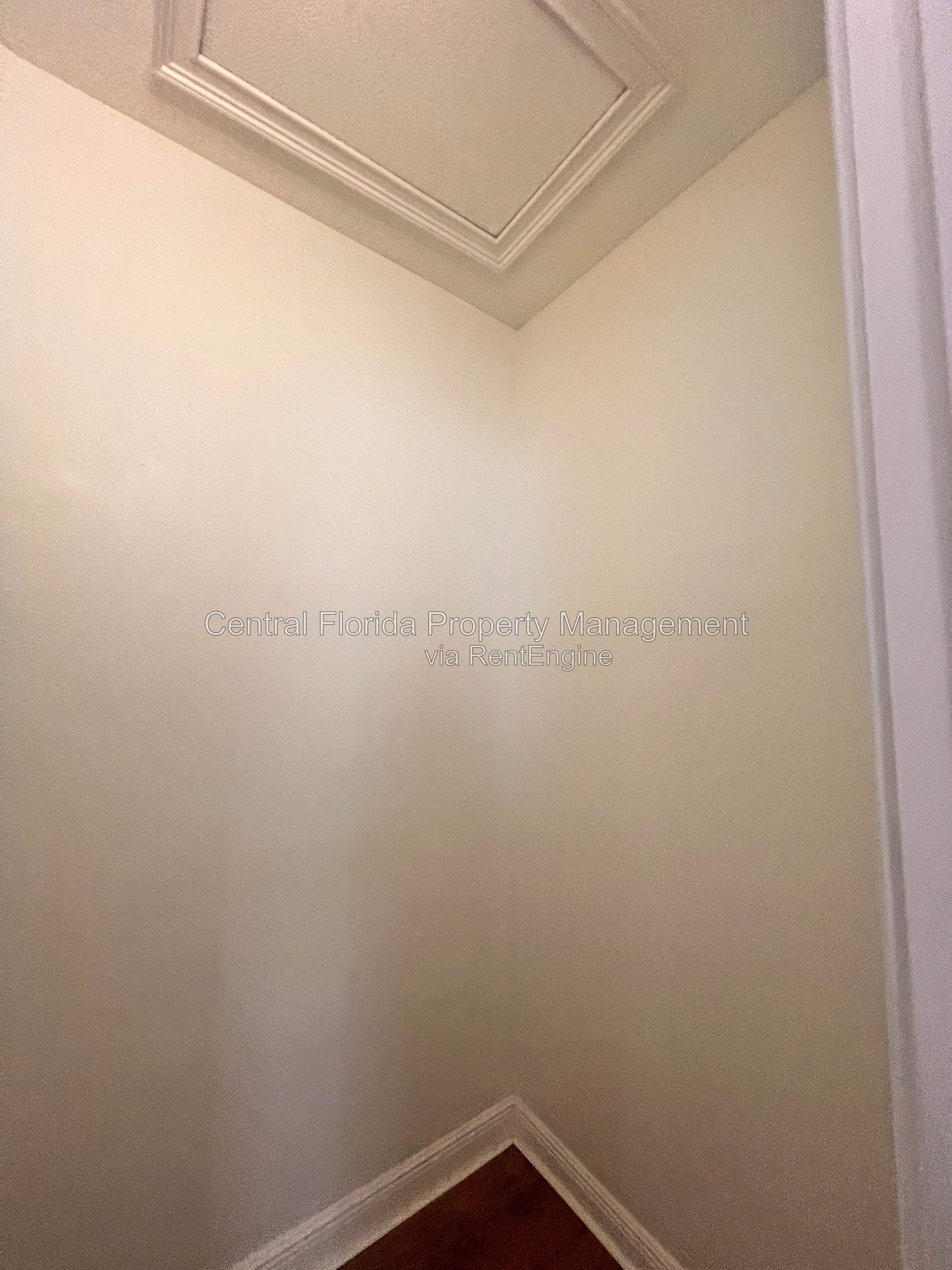 Gallery Image 19