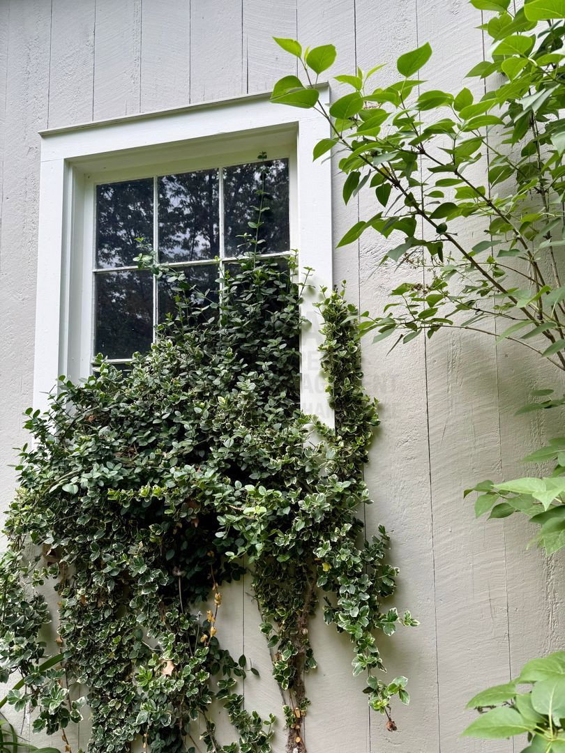 Gallery Image 13