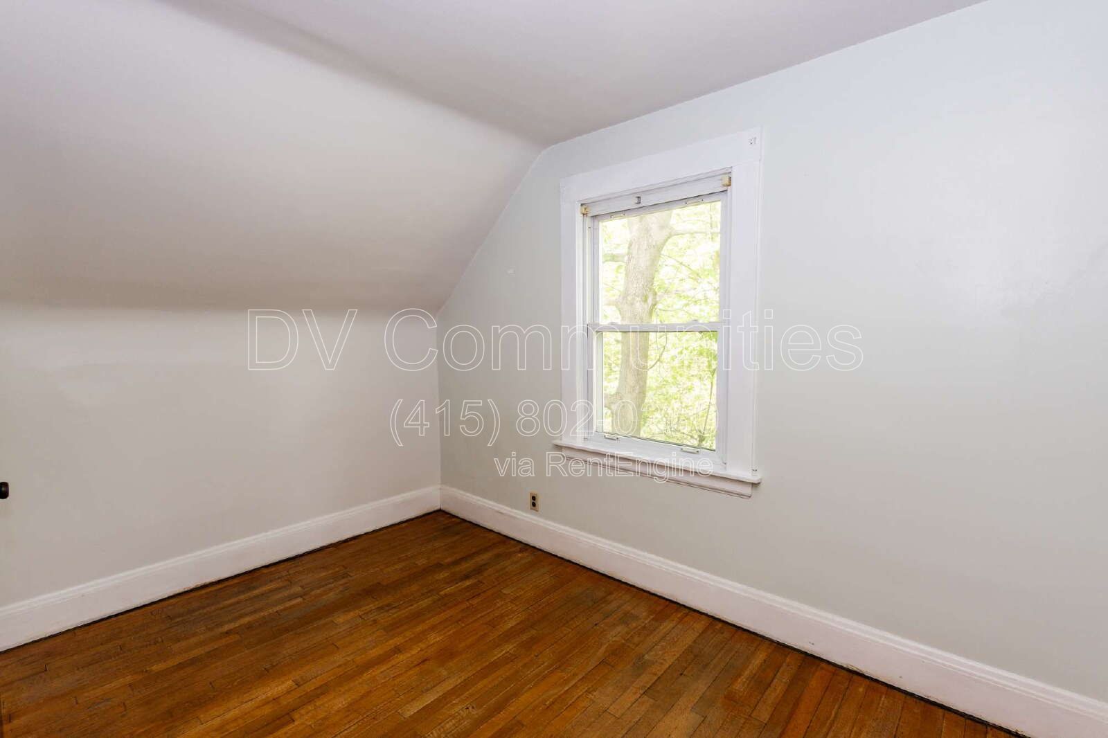 Gallery Image 18