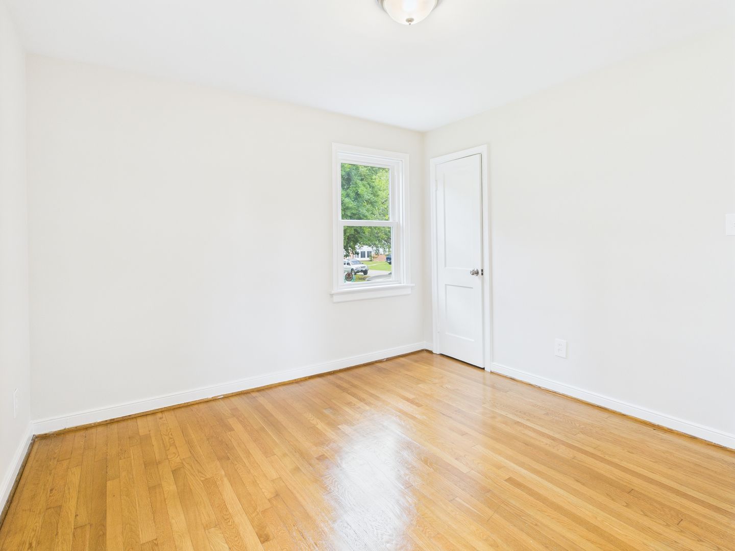 Gallery Image 18