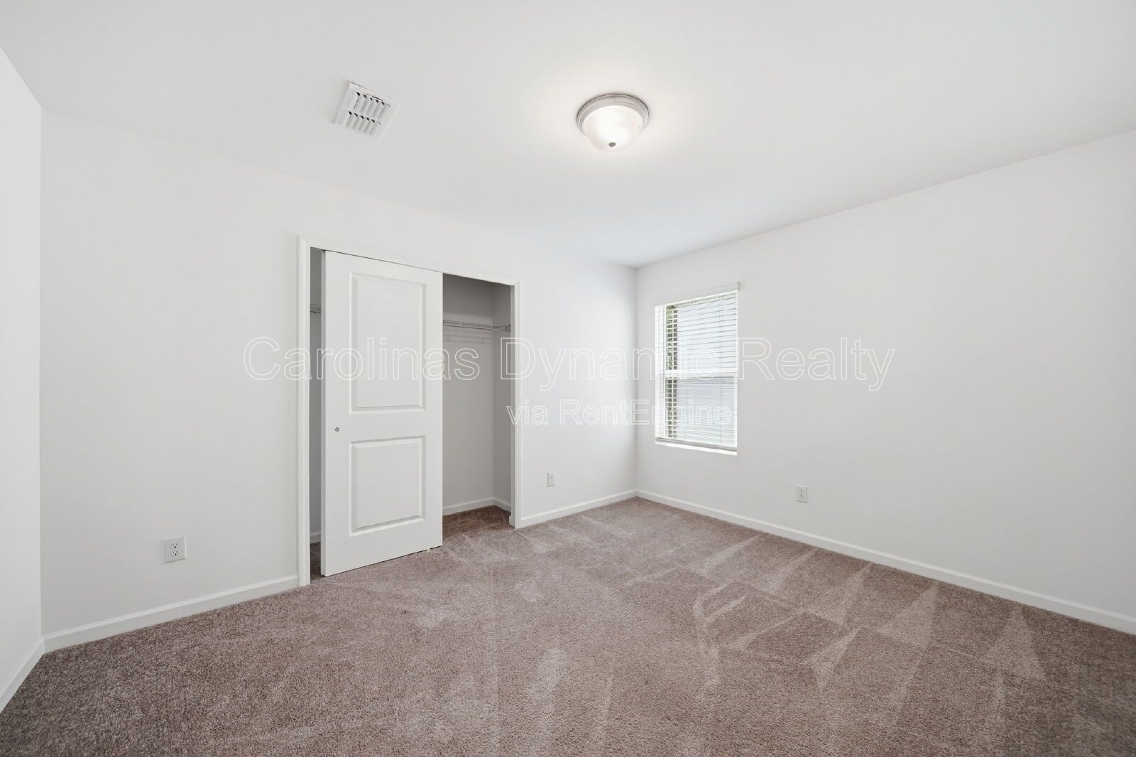 Gallery Image 19