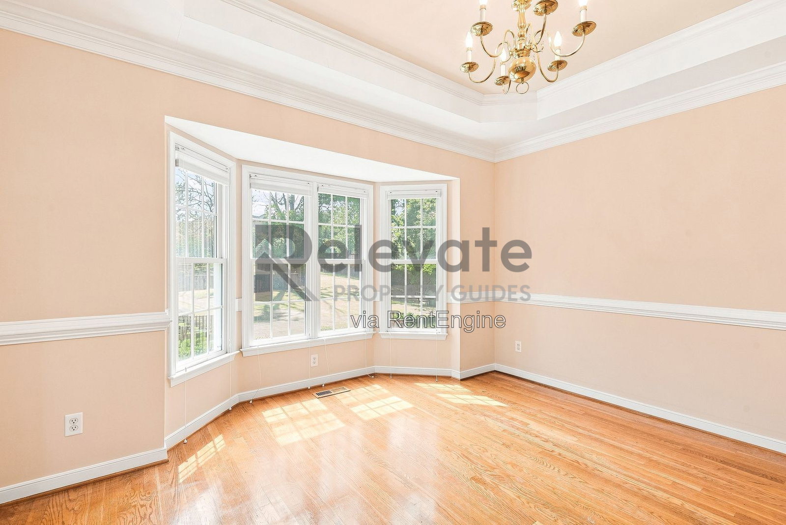 Gallery Image 8