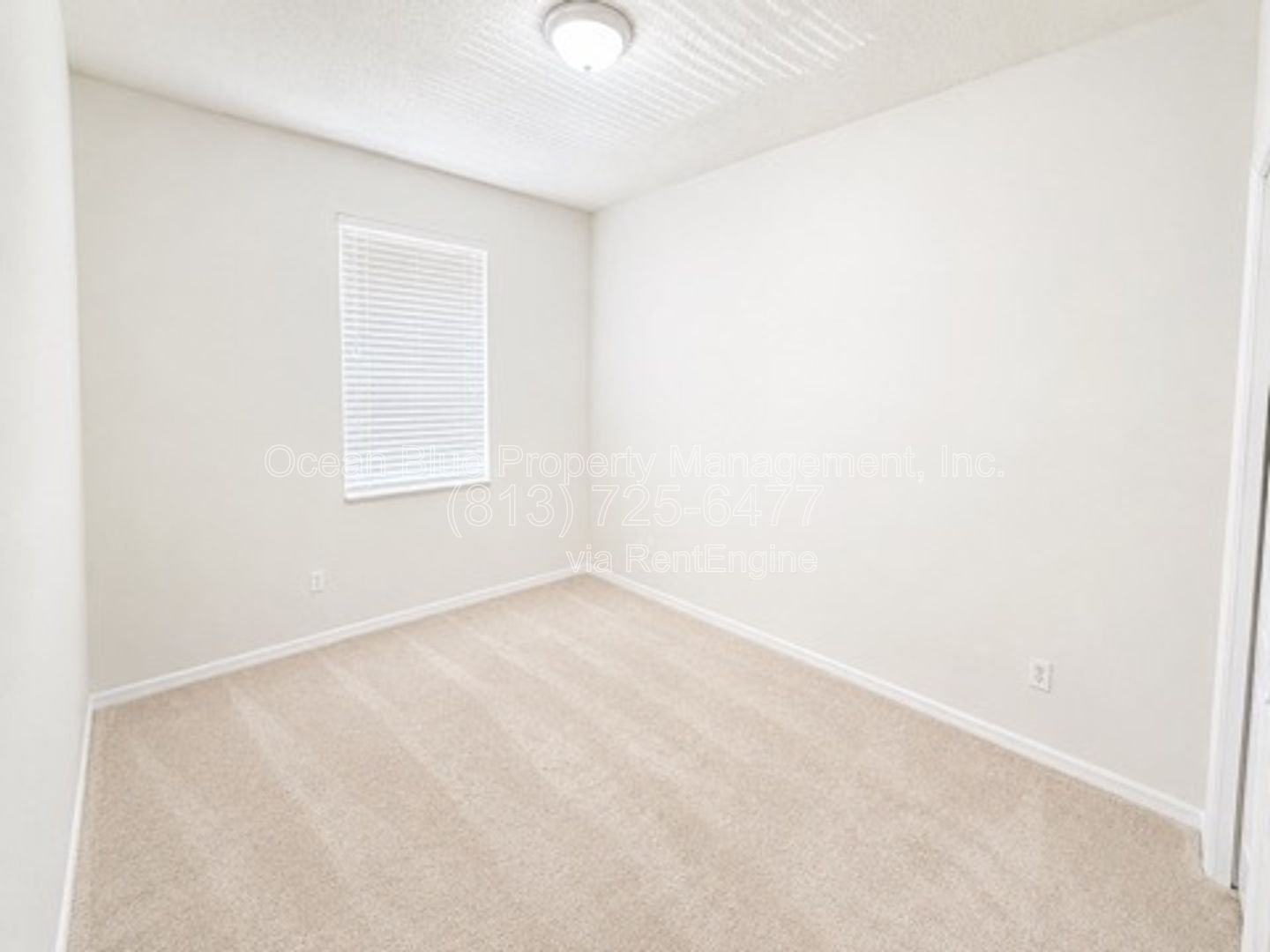 Gallery Image 21