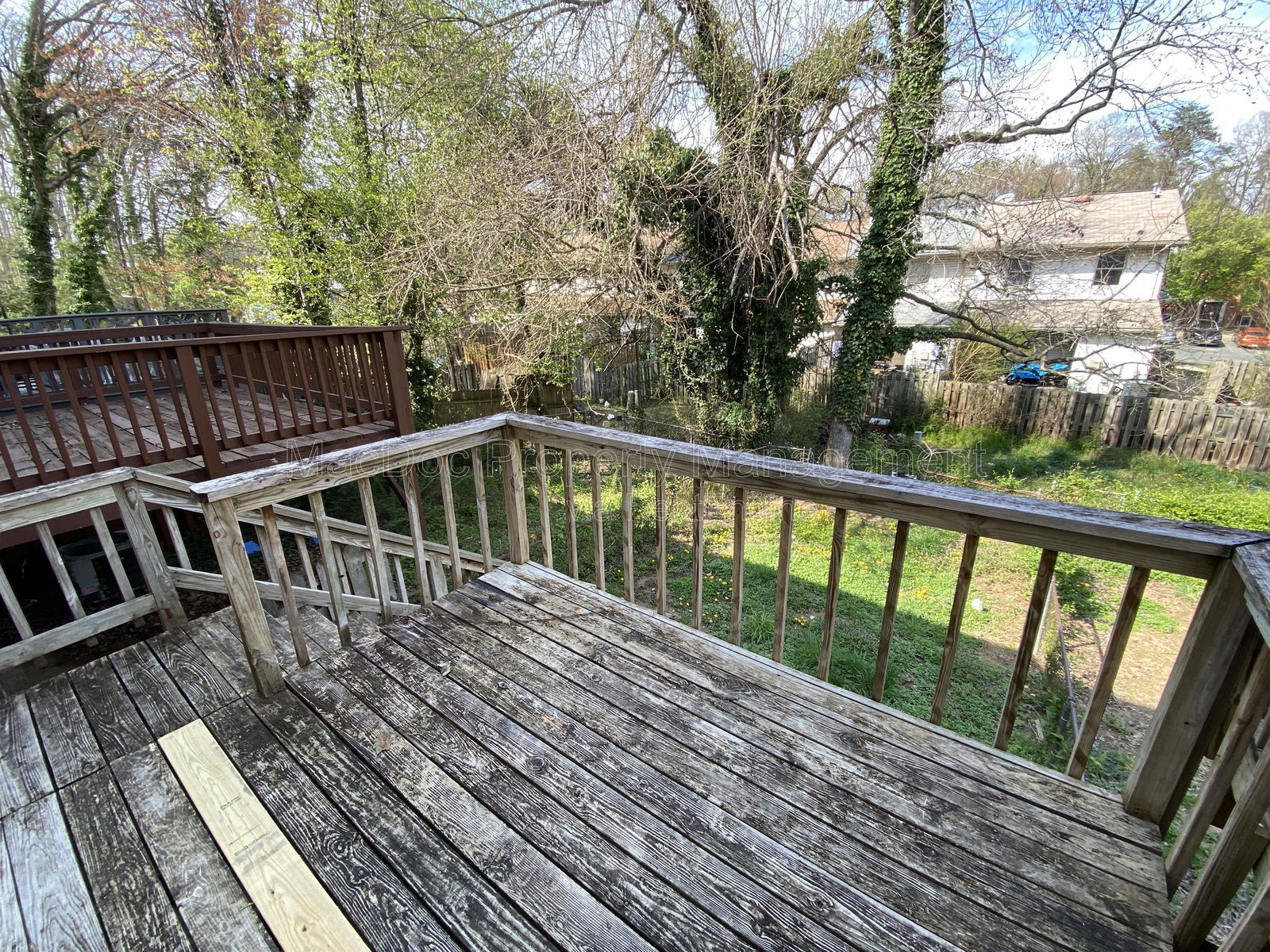 Gallery Image 19