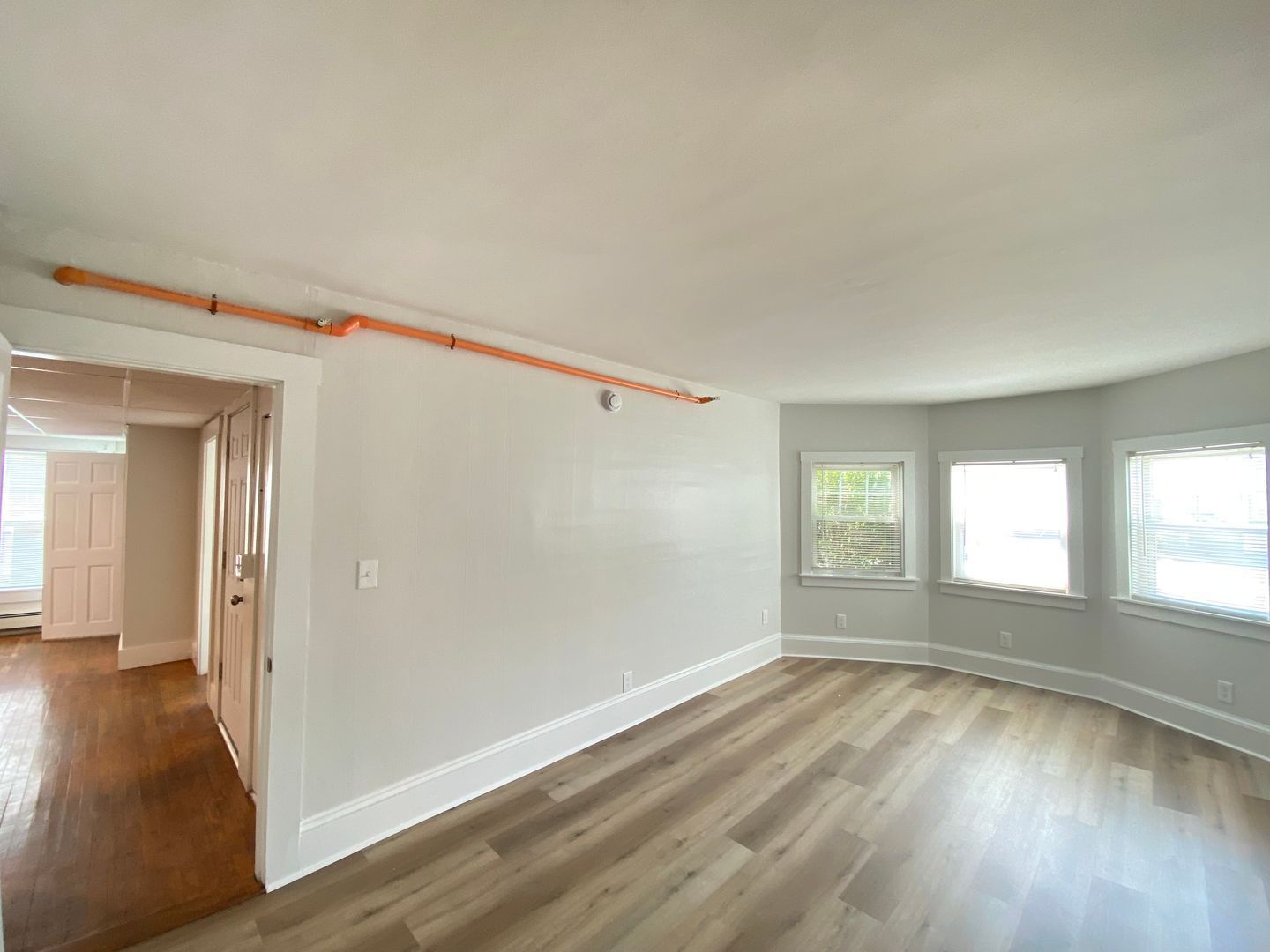 Gallery Image 11