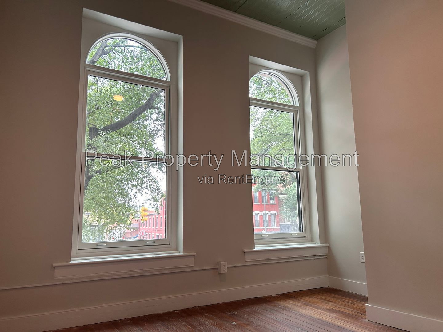 Gallery Image 7
