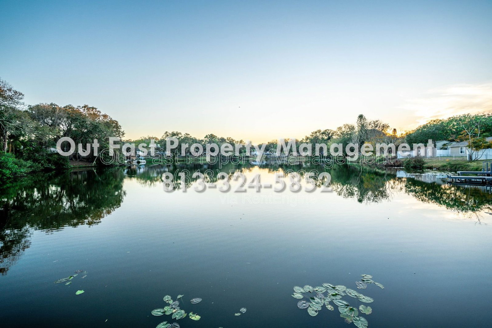 Gallery Image 41