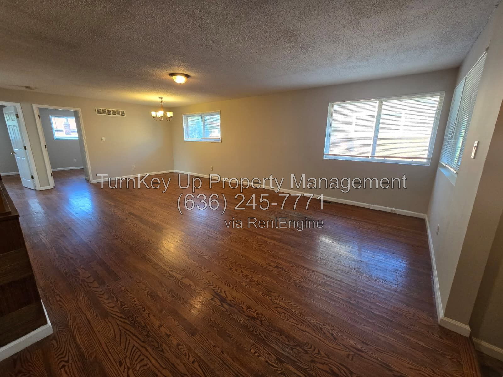 Gallery Image 8
