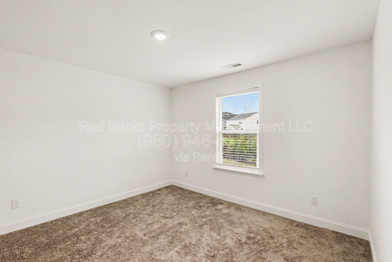 Gallery Image 31