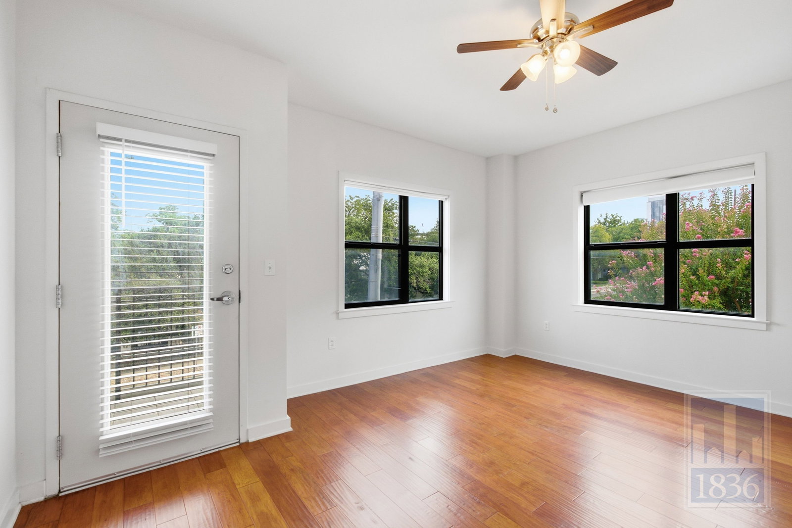 Gallery Image 15