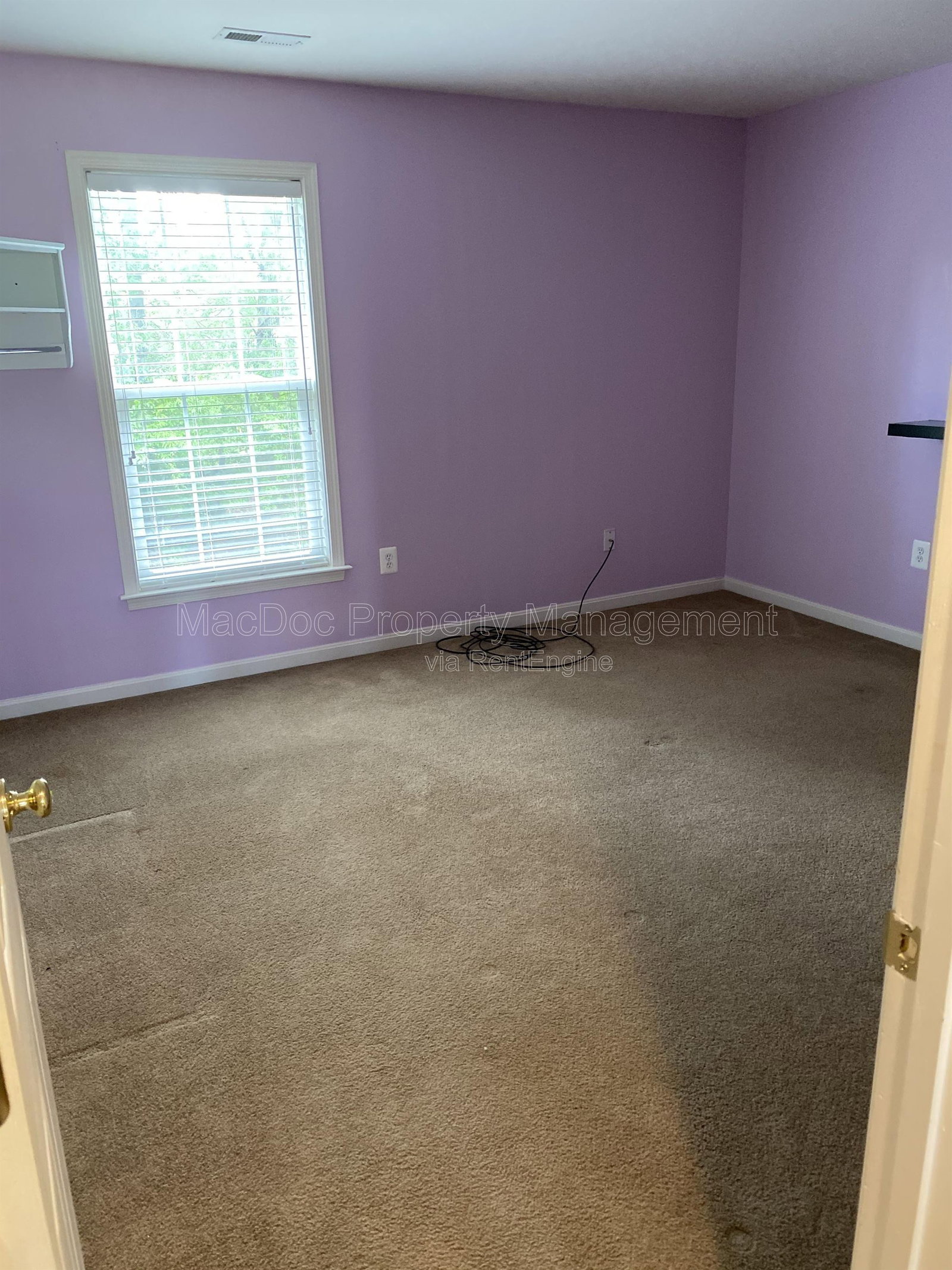Gallery Image 52