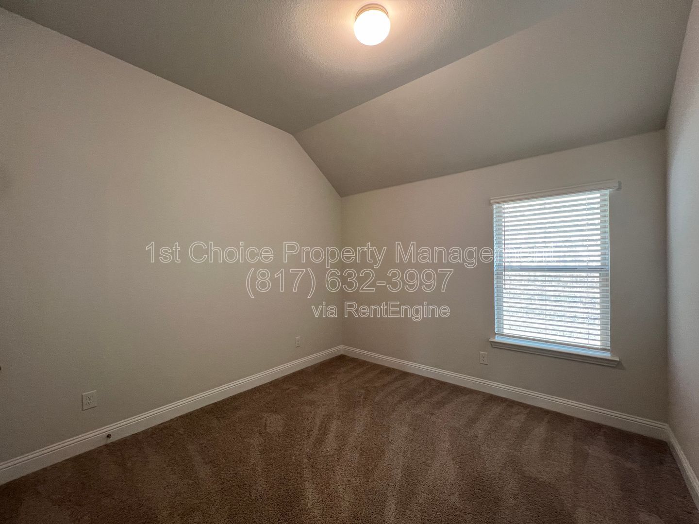 Gallery Image 20
