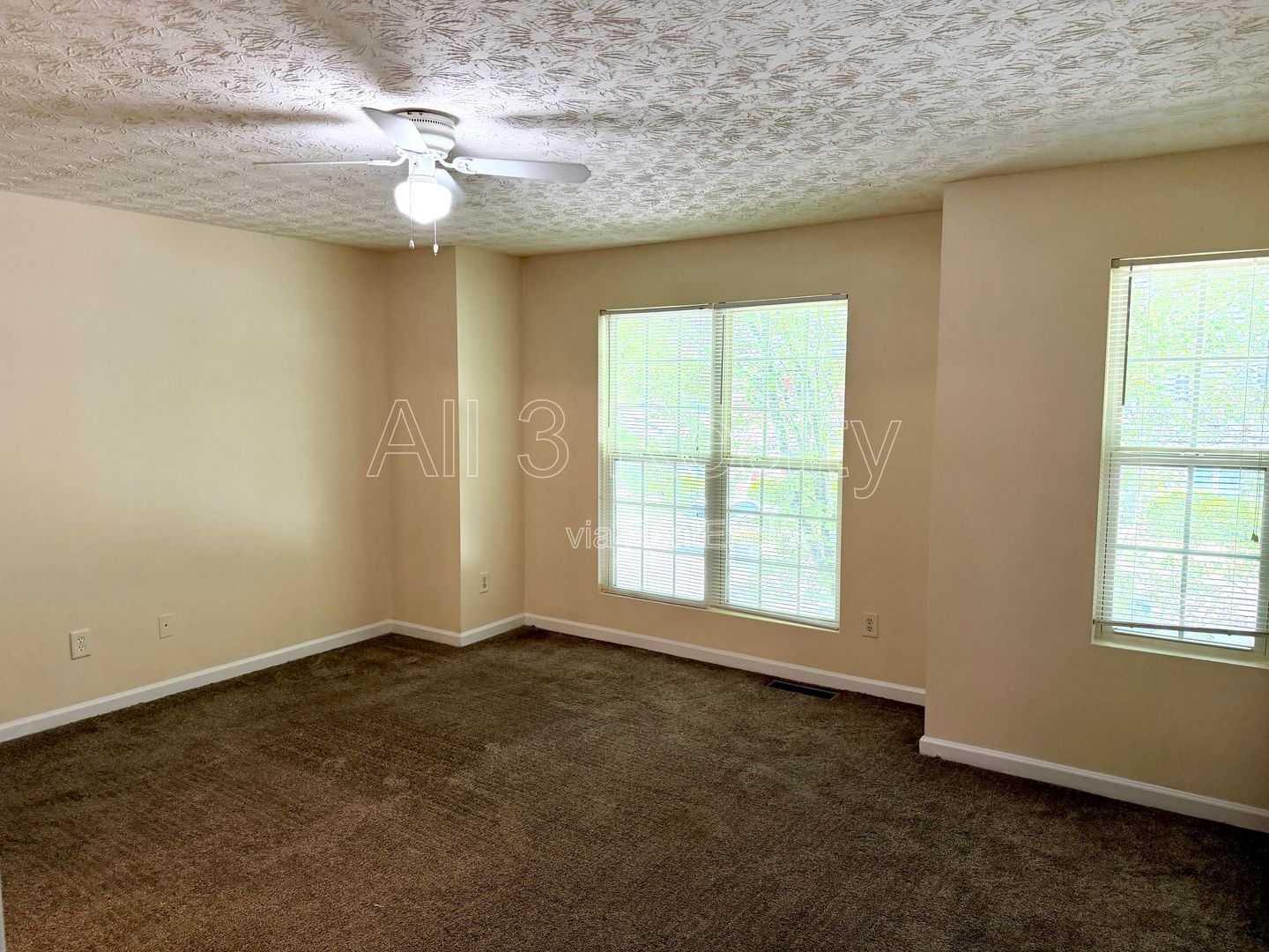 Gallery Image 19