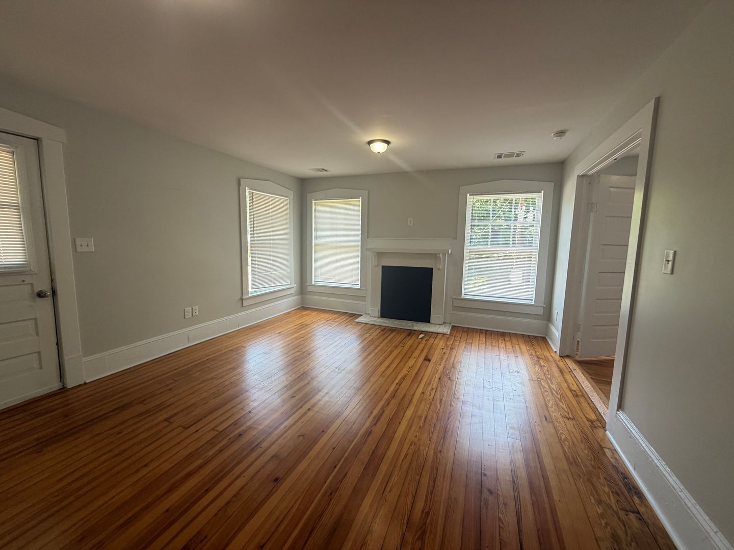 Gallery Image 7
