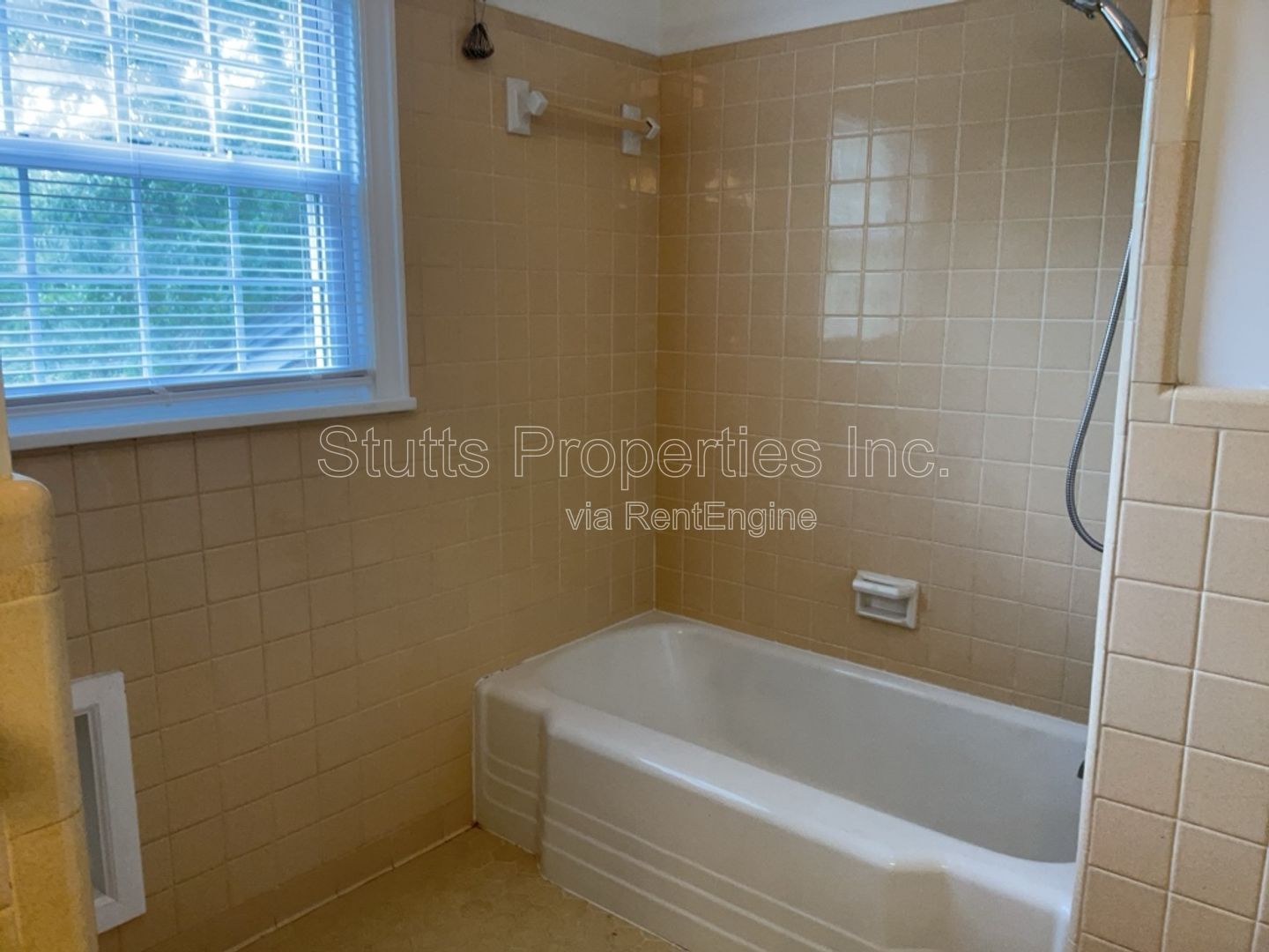 Gallery Image 15