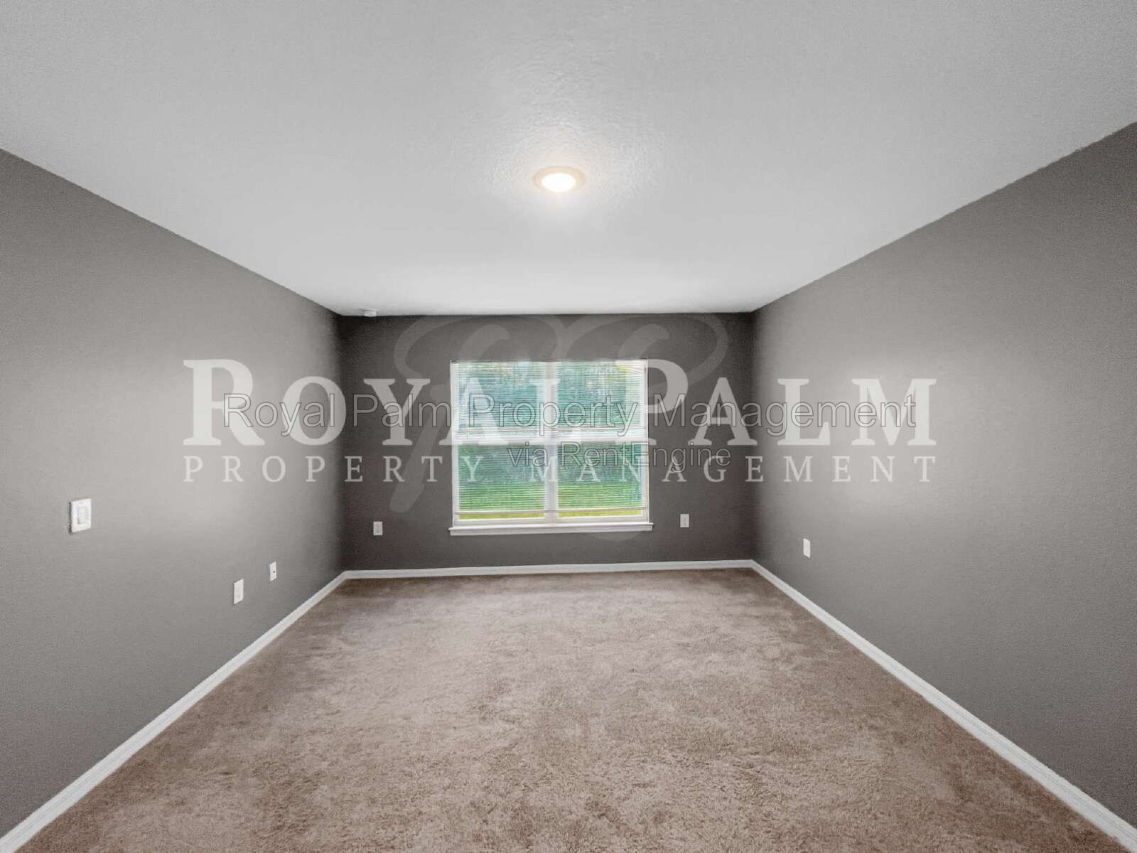 Gallery Image 31