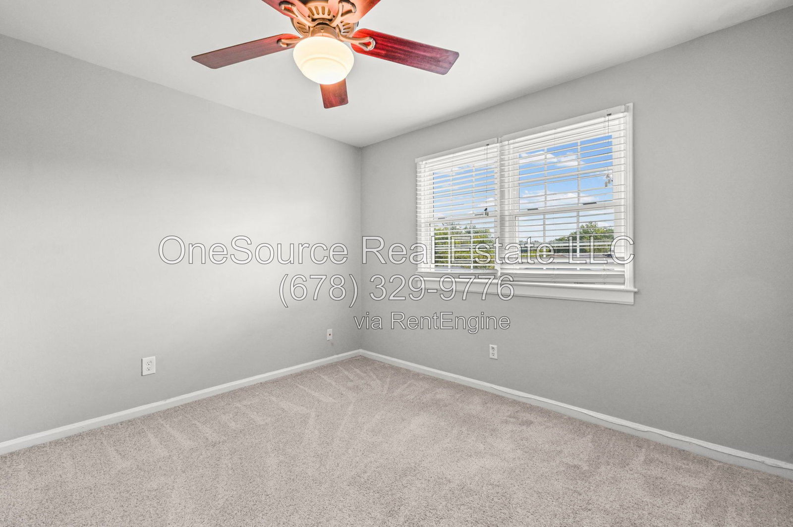 Gallery Image 19