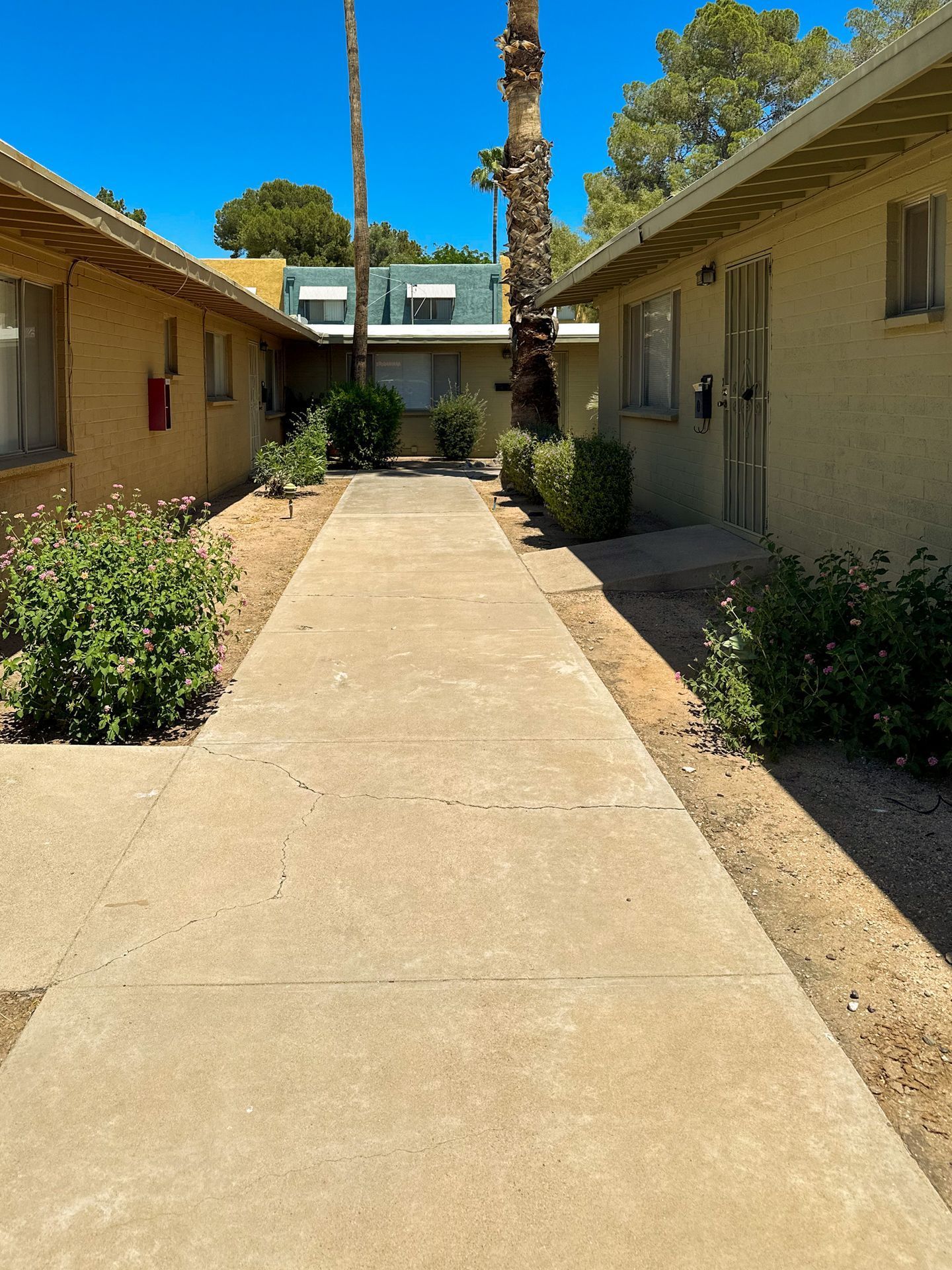 Gallery Image 18