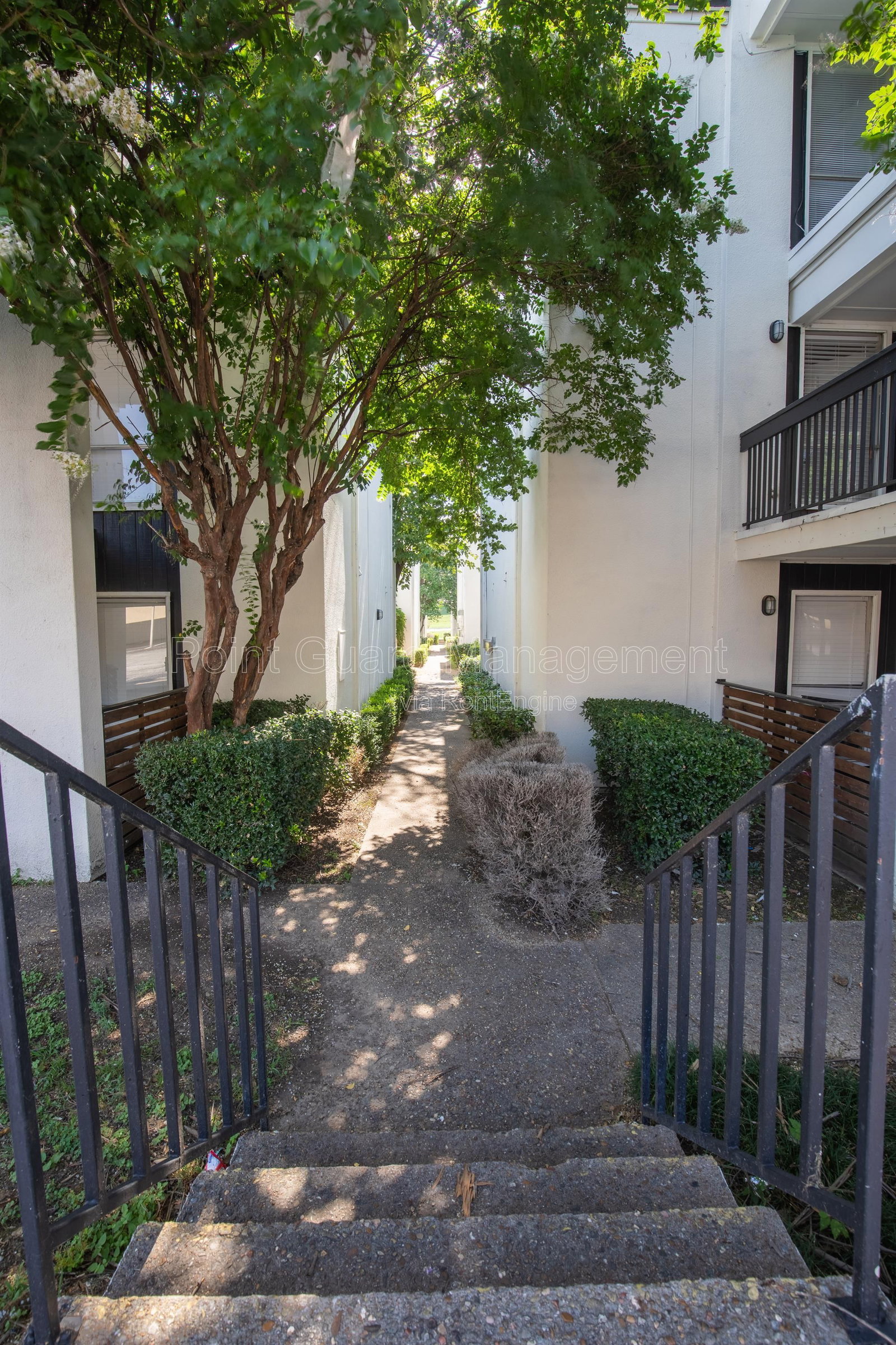 Gallery Image 20
