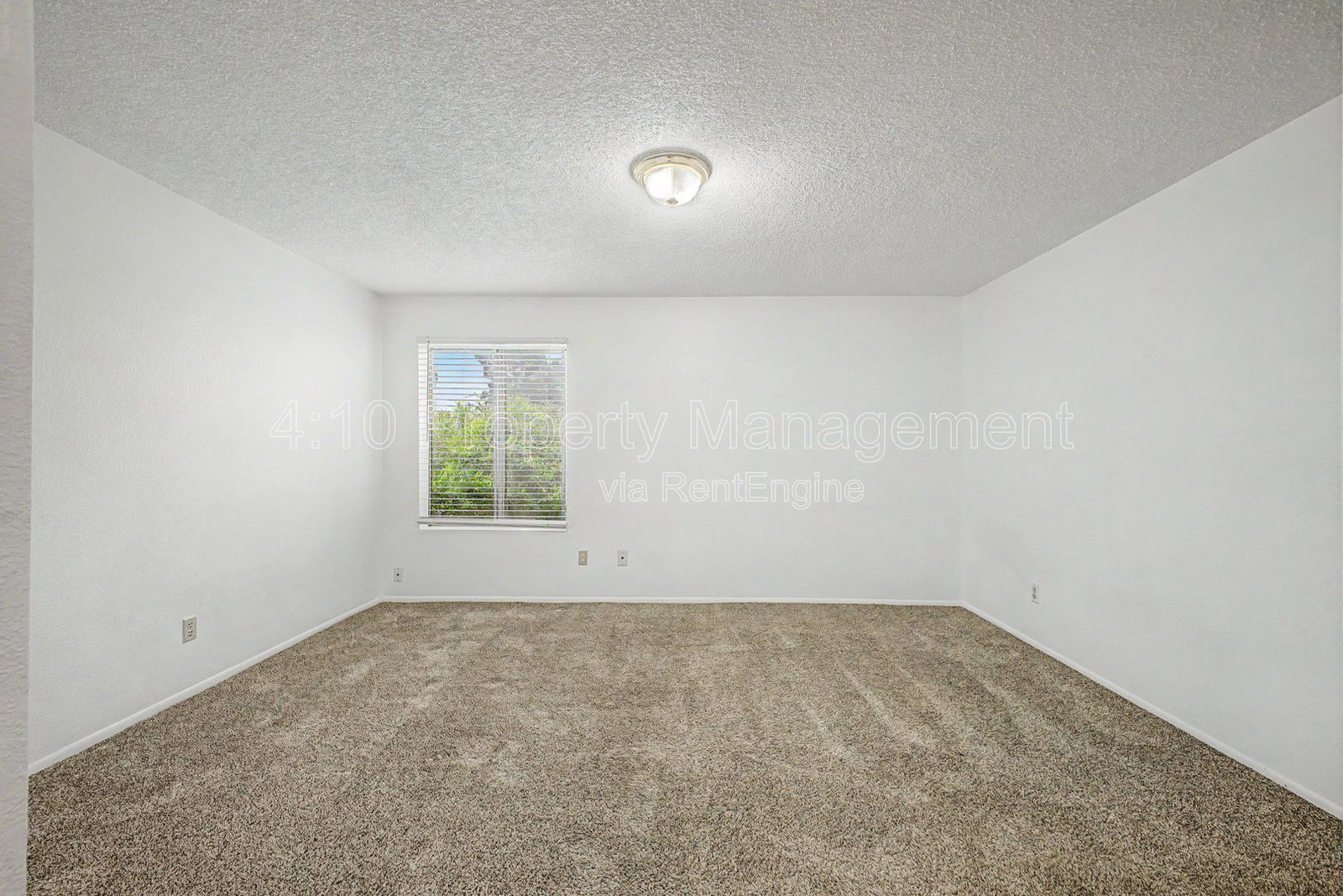 Gallery Image 19