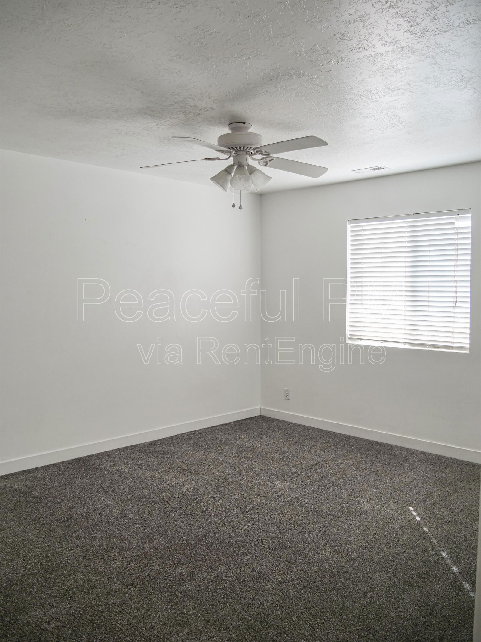 Gallery Image 21