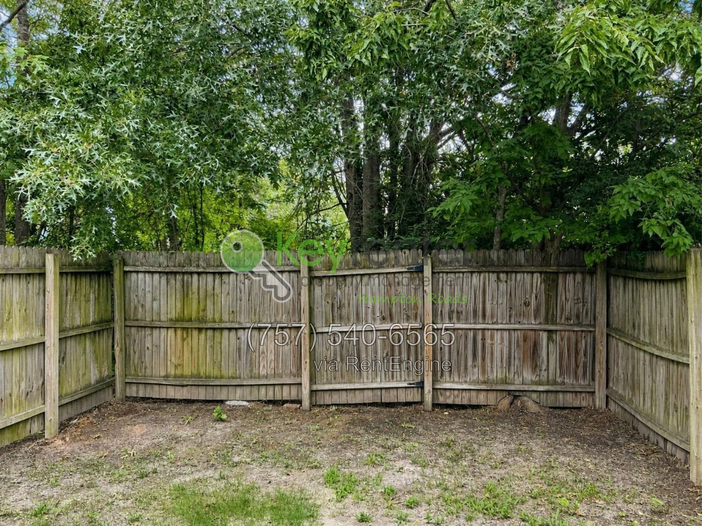 Gallery Image 31