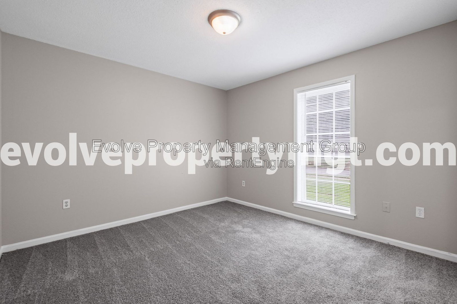 Gallery Image 20