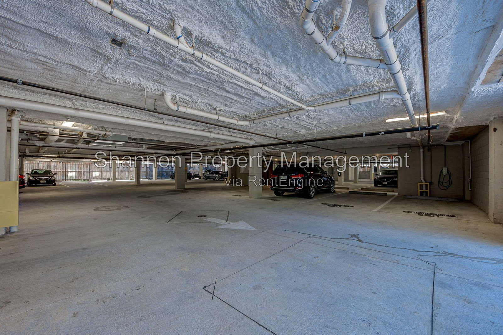 Gallery Image 15