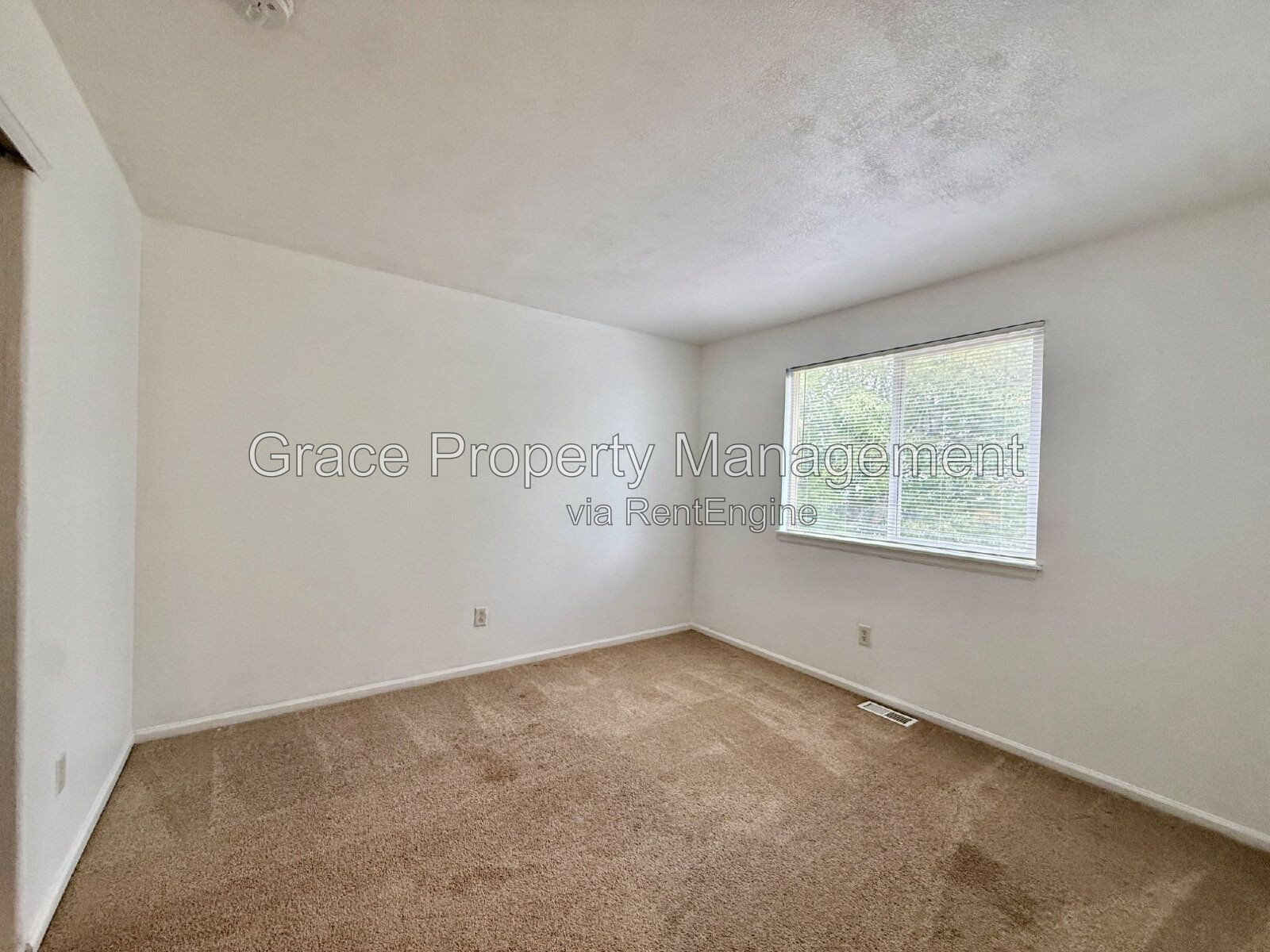 Gallery Image 20