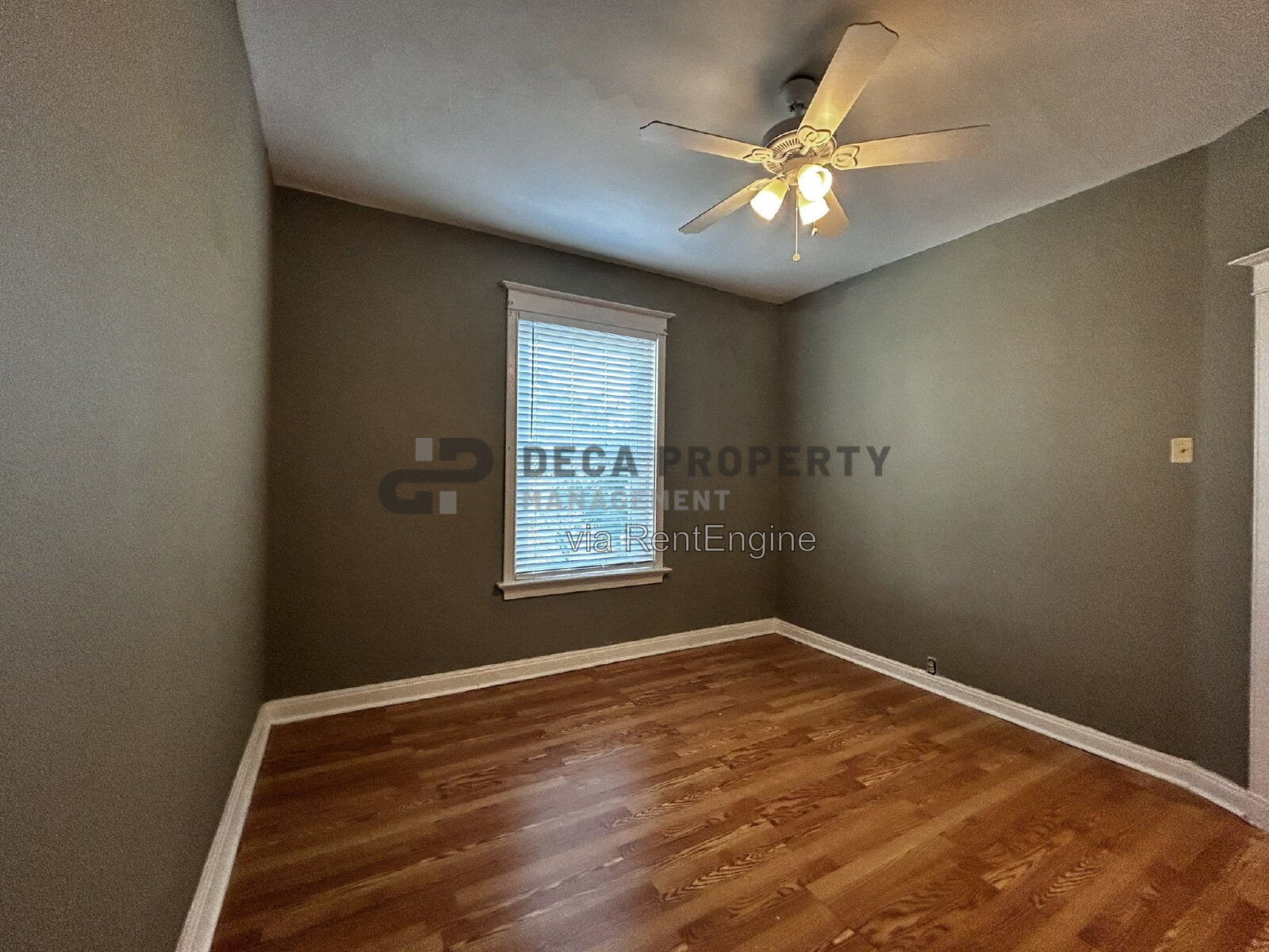 Gallery Image 14