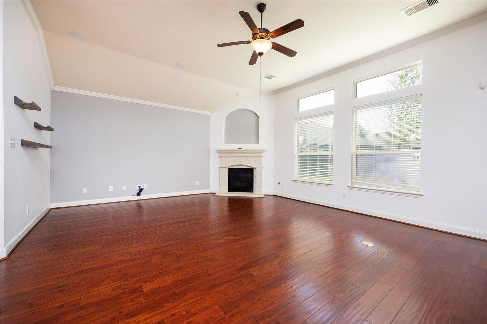 Gallery Image 15