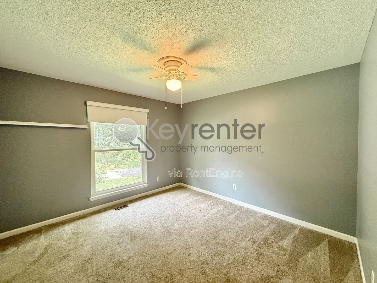 Gallery Image 18