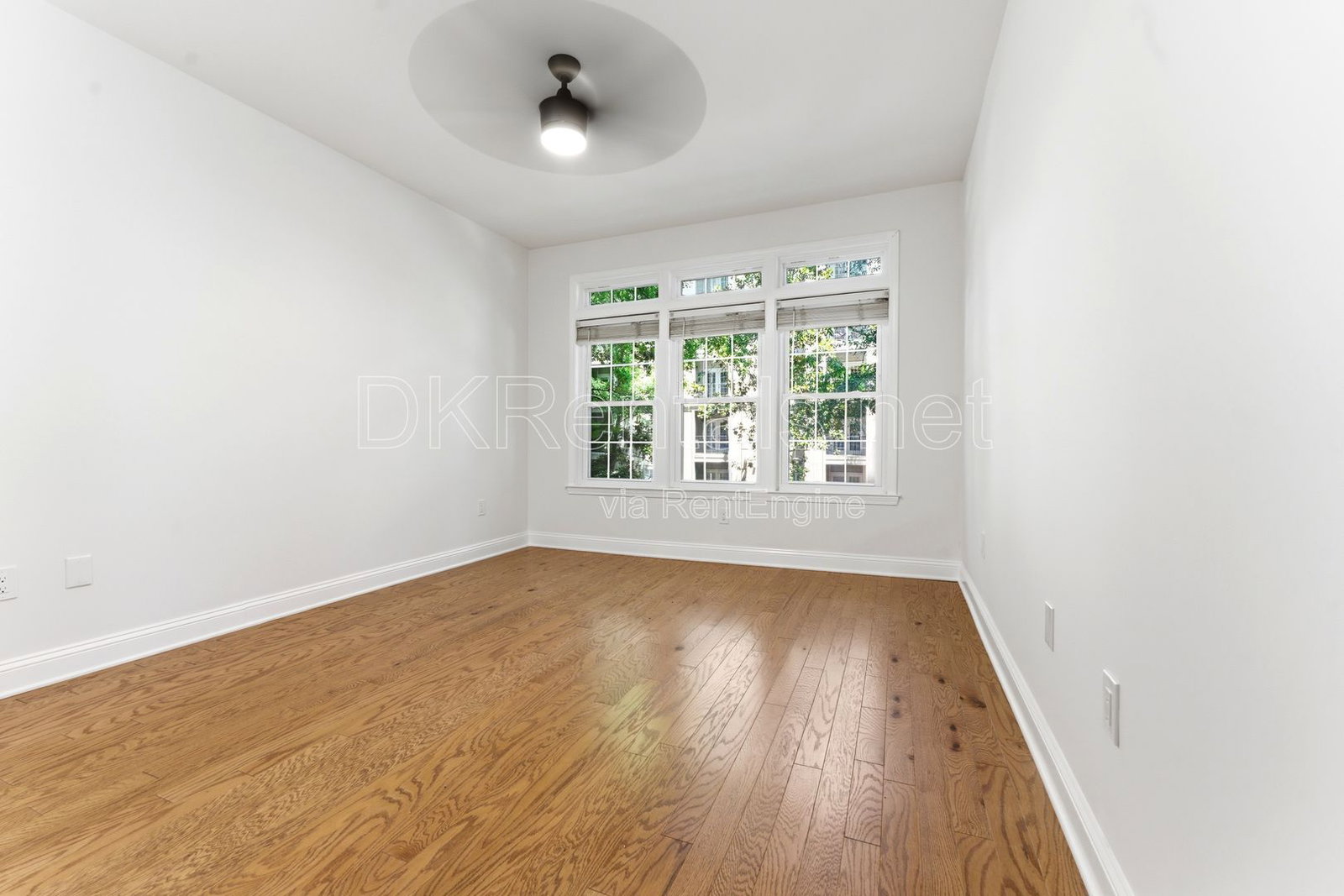 Gallery Image 20