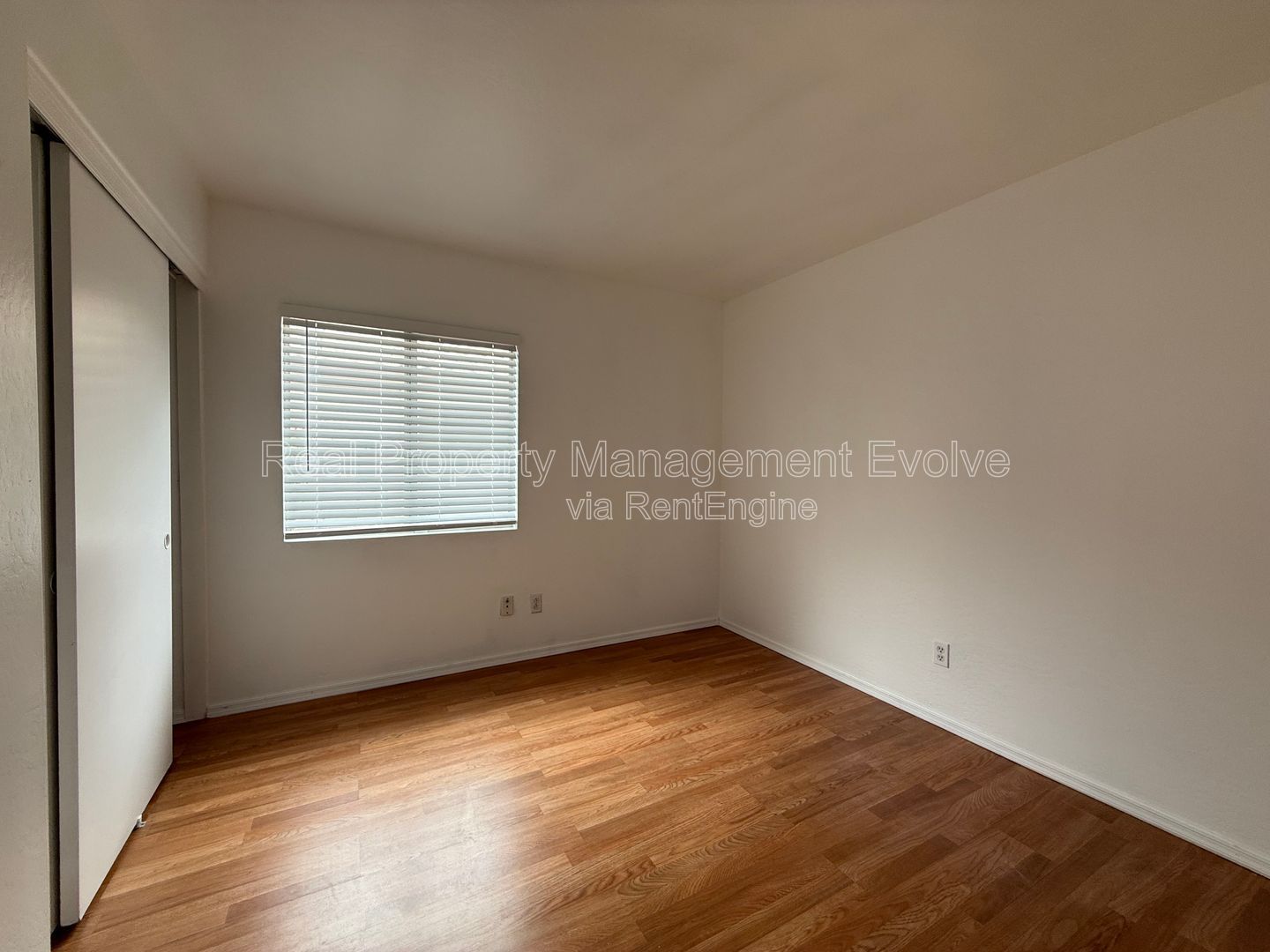 Gallery Image 19