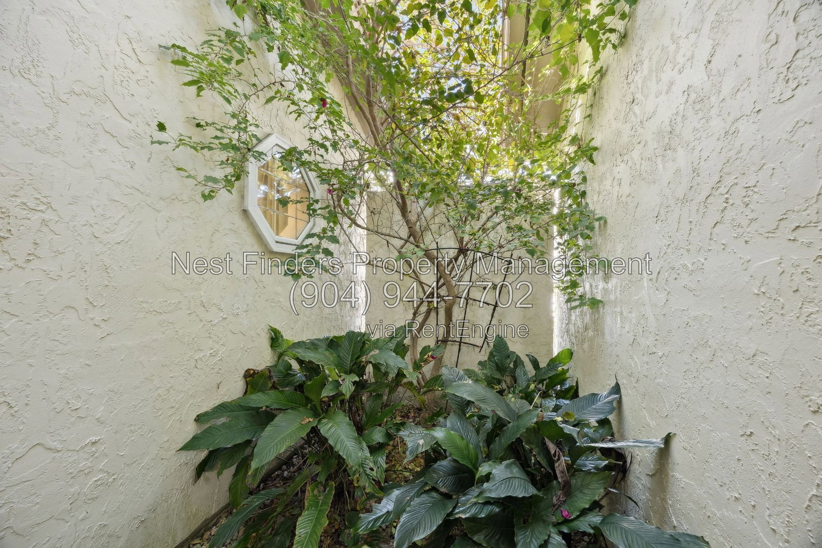 Gallery Image 28