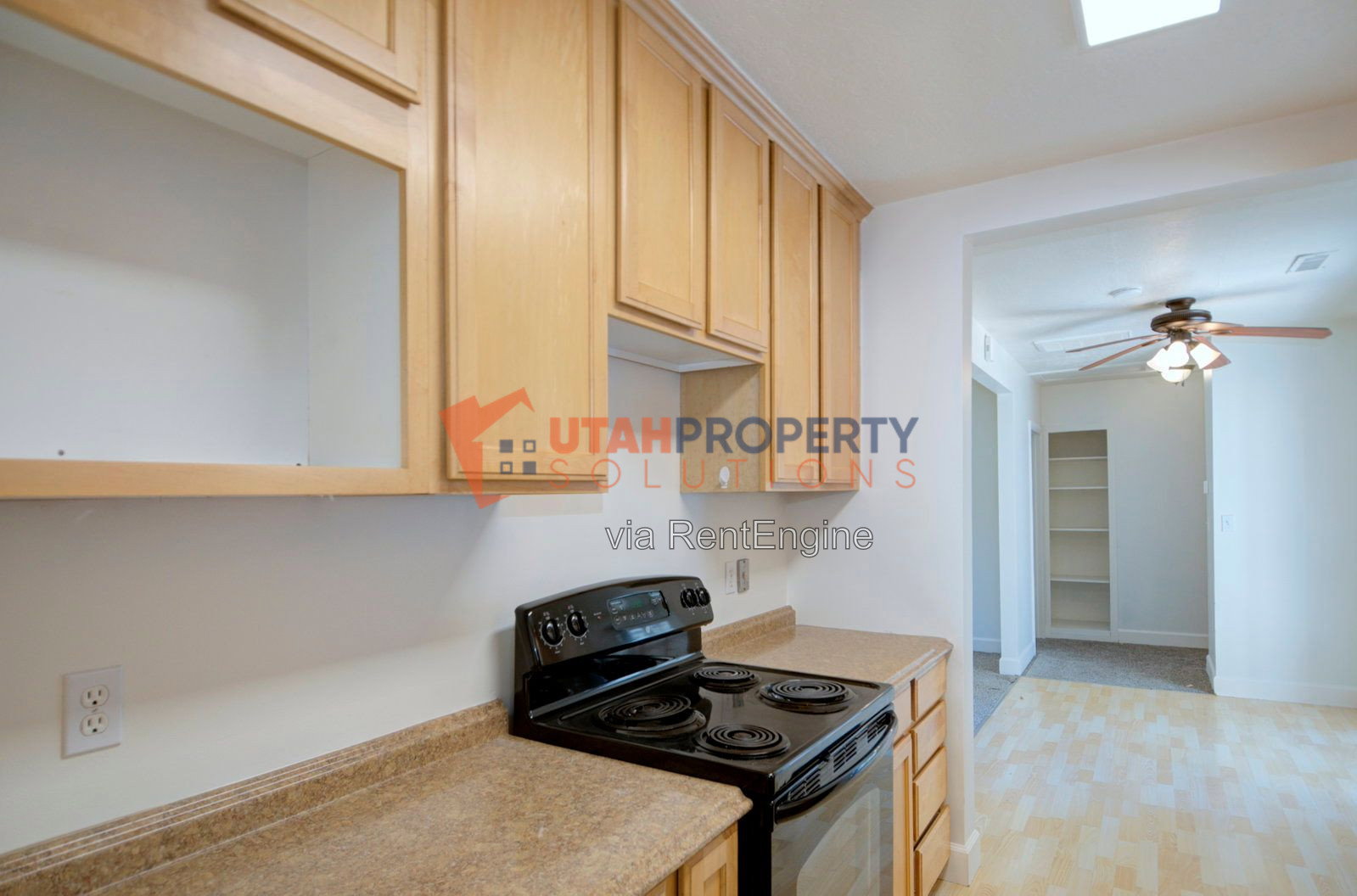 Gallery Image 11