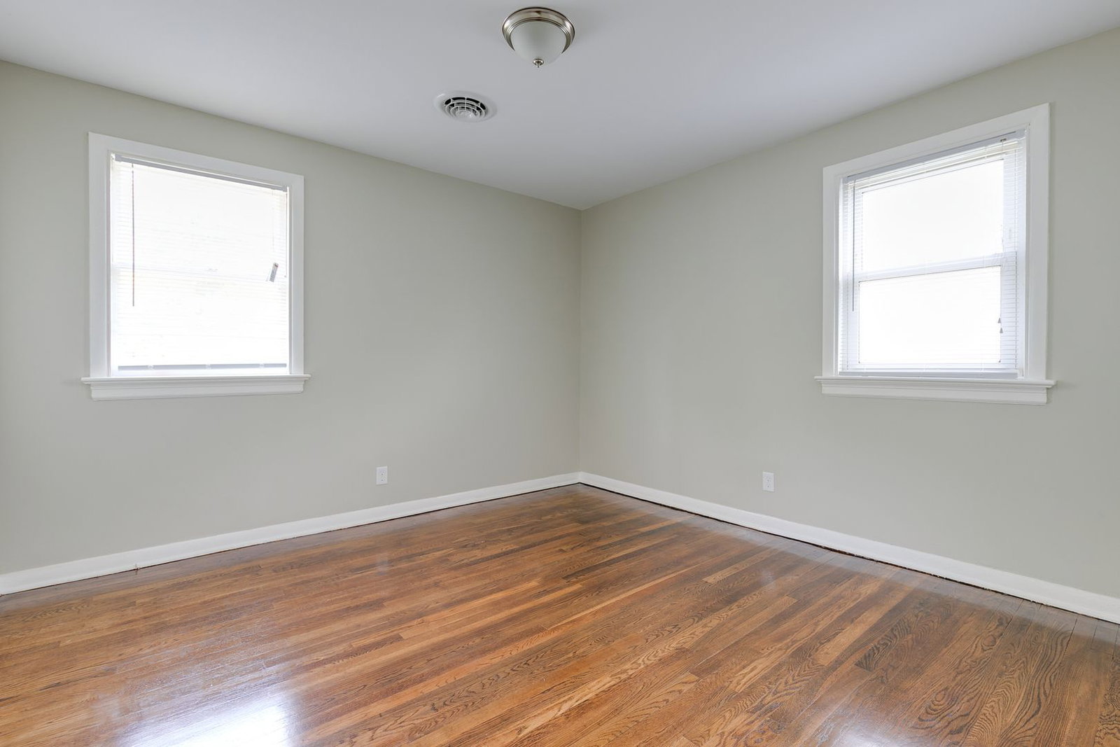 Gallery Image 19