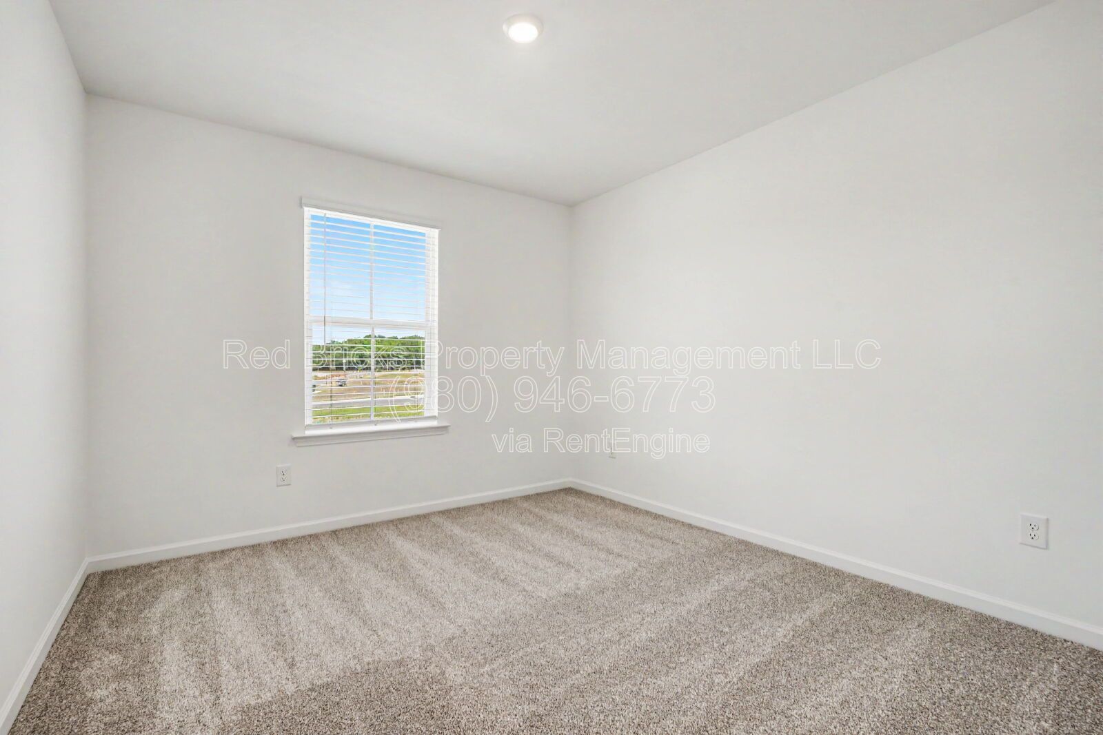 Gallery Image 18